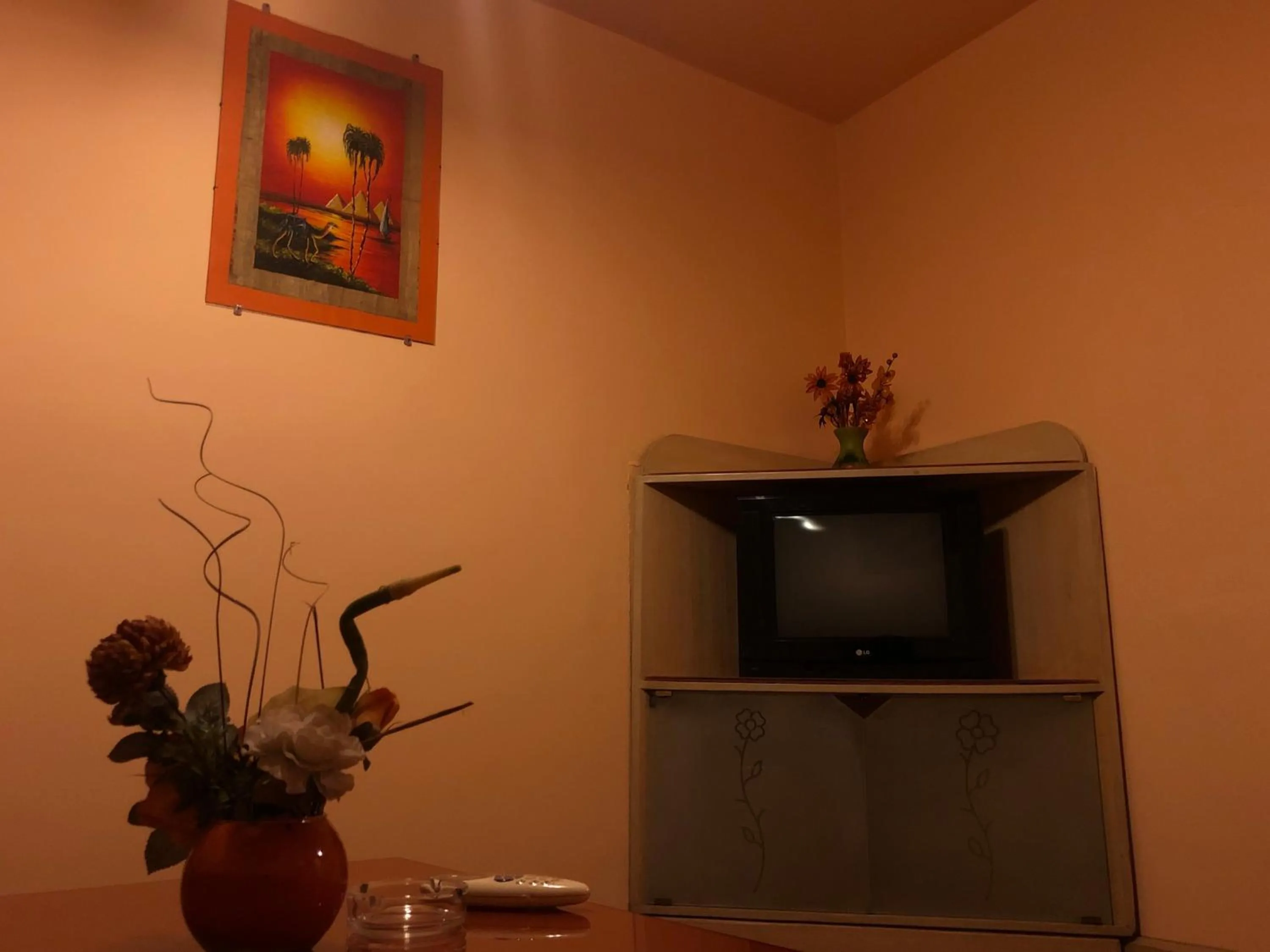 TV and multimedia in Santana Hotel Cairo