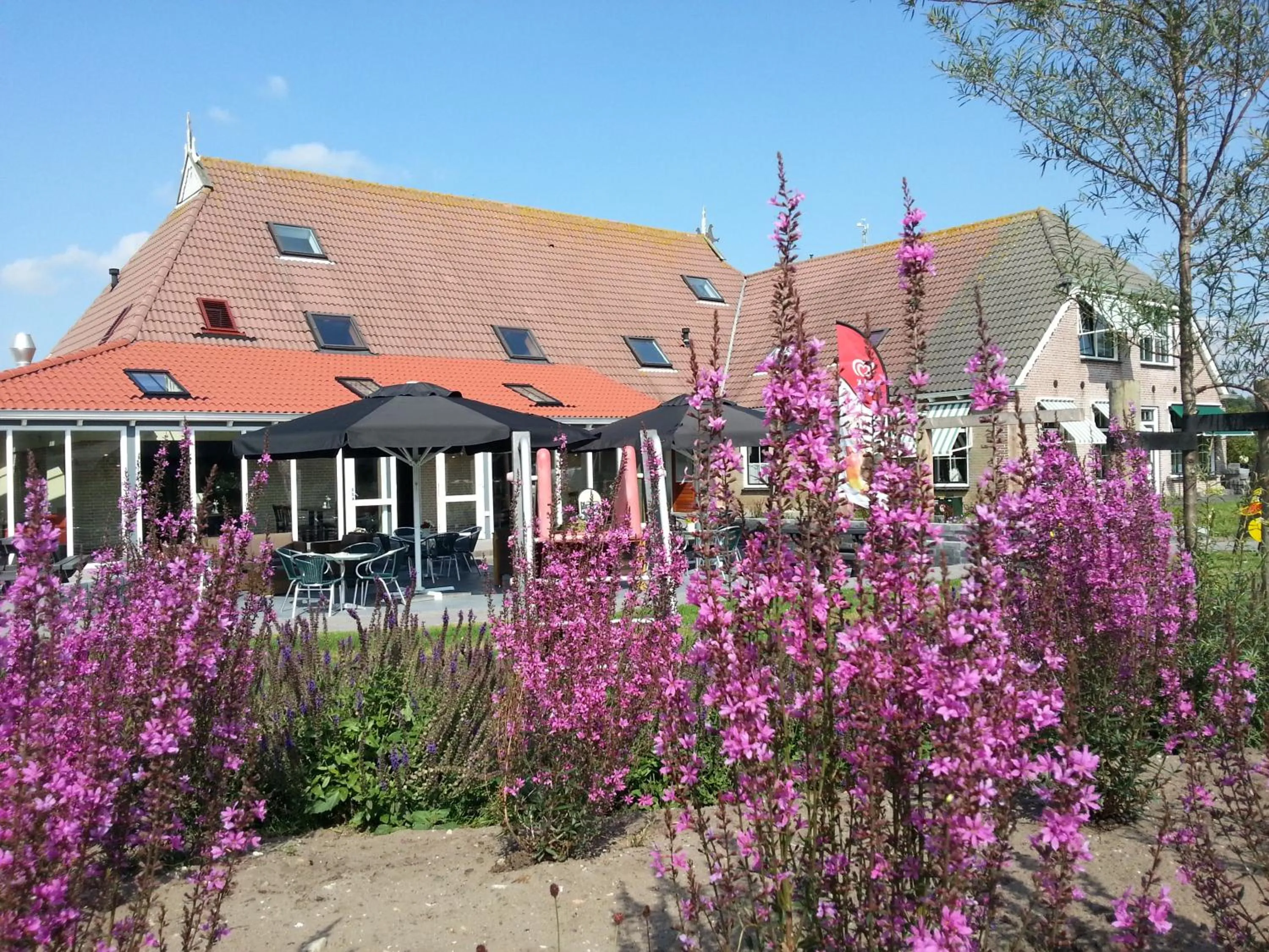 Property building in Bed and Breakfast De Zeehoeve