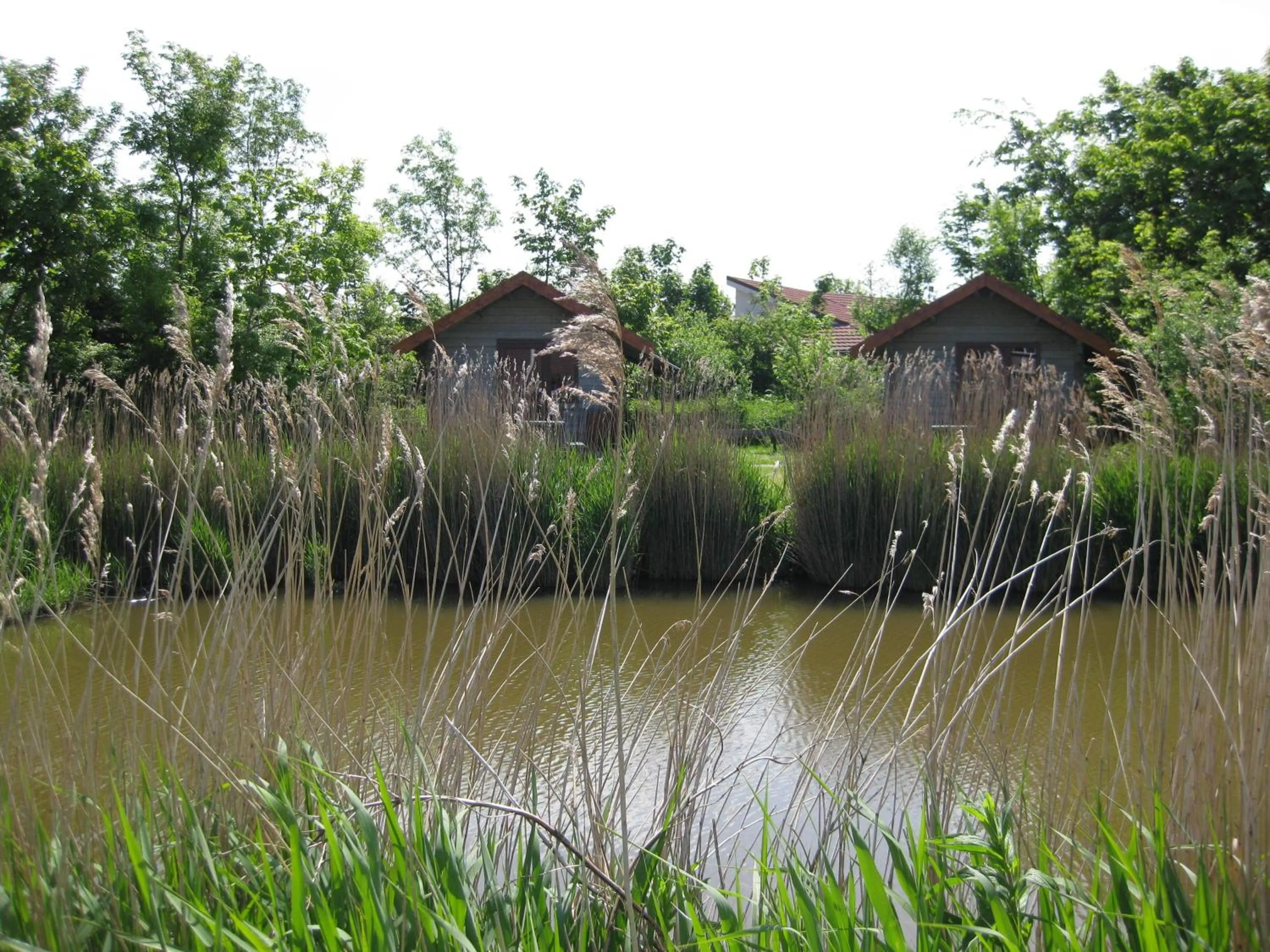 Property building in Bed and Breakfast De Zeehoeve