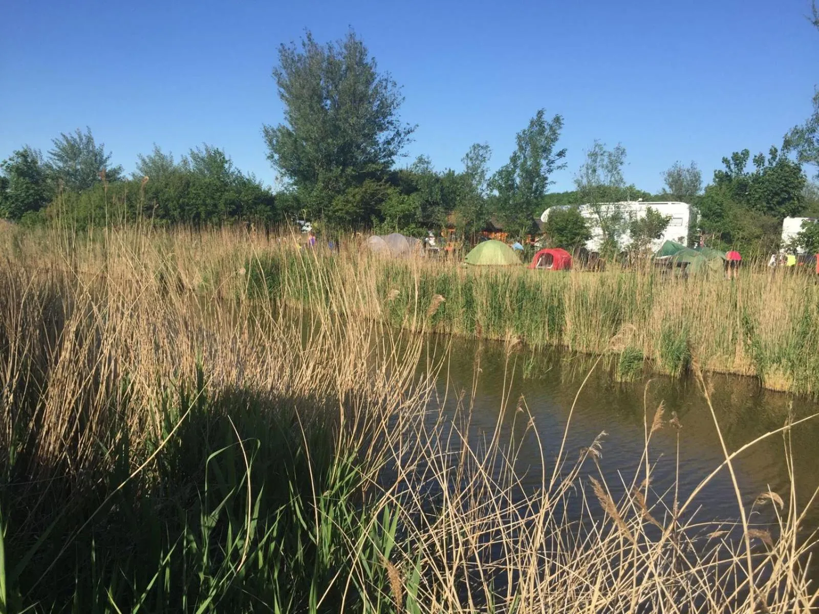 View (from property/room) in Bed and Breakfast De Zeehoeve