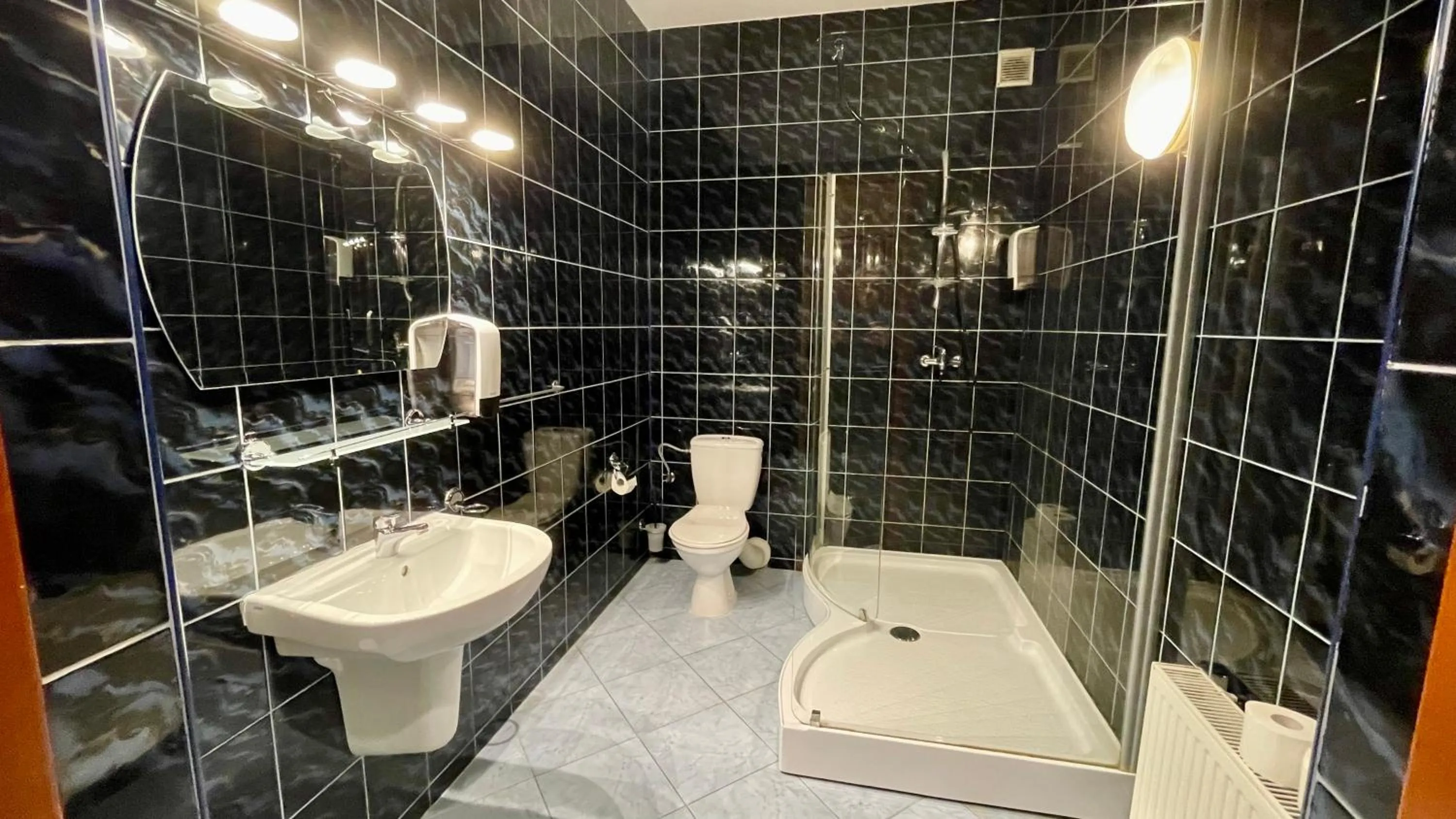 Shower in Pałac SŁONOWICE