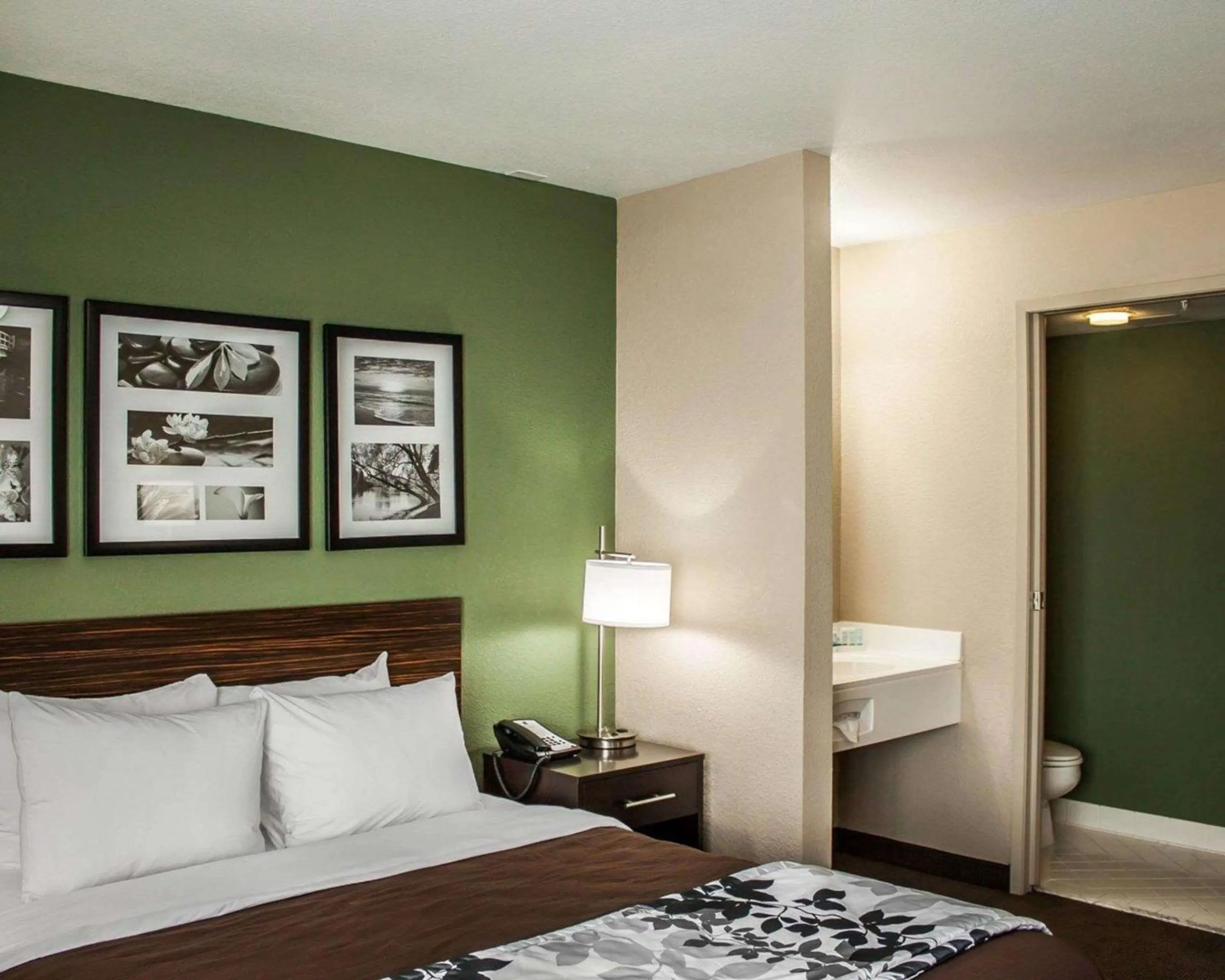 Photo of the whole room, Bed in Sleep Inn Nampa near Idaho Center