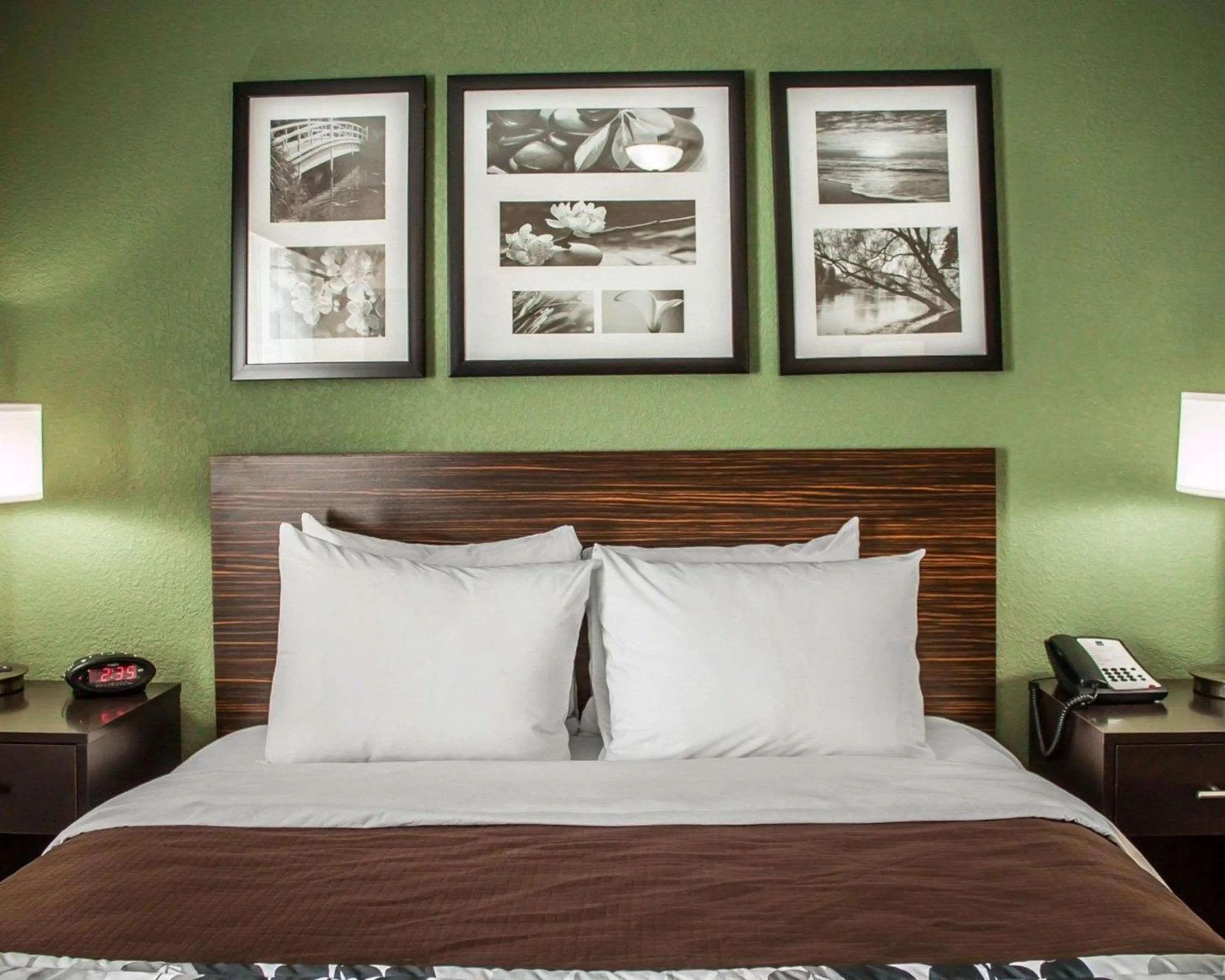 Photo of the whole room, Bed in Sleep Inn Nampa near Idaho Center