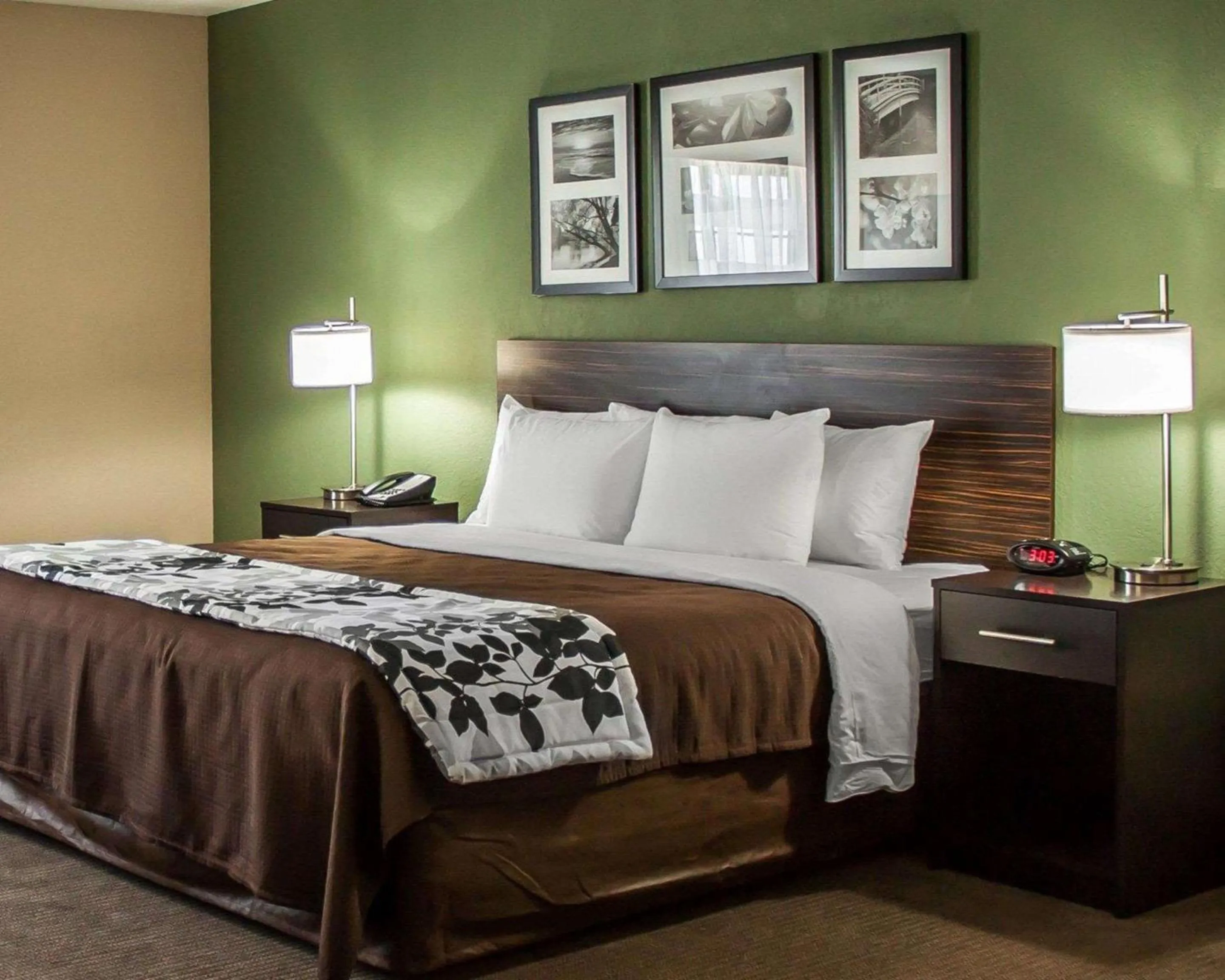 Photo of the whole room, Bed in Sleep Inn Nampa near Idaho Center