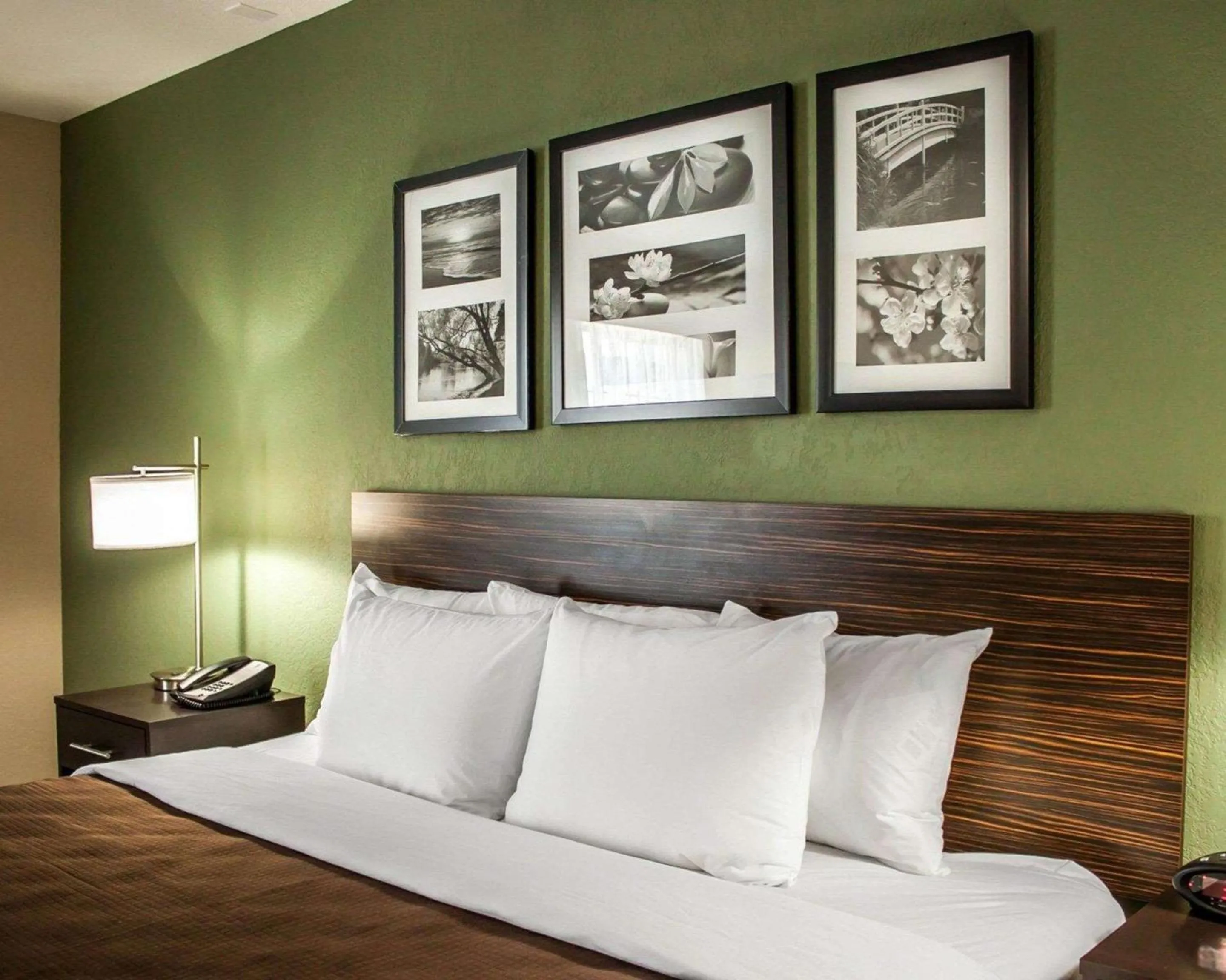 Photo of the whole room, Bed in Sleep Inn Nampa near Idaho Center