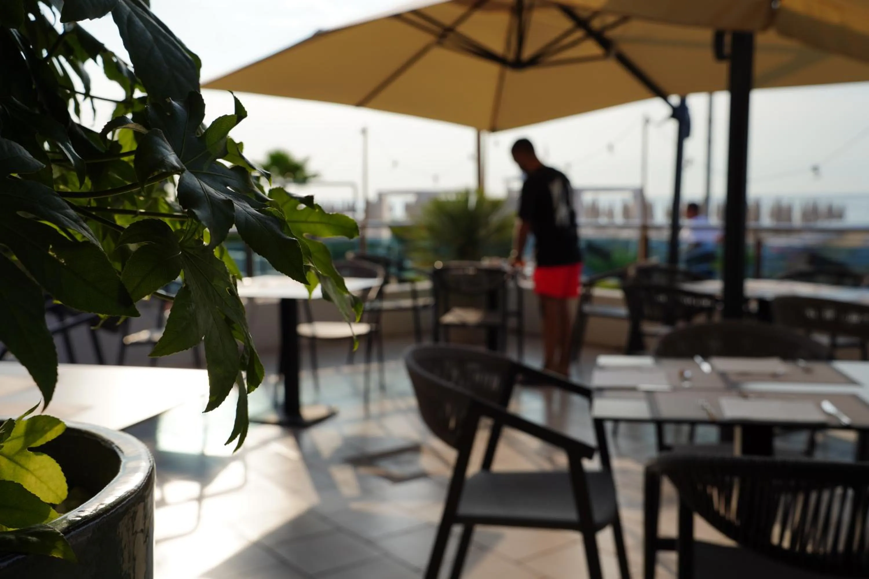 Restaurant/places to eat in Hotel Delaville Frontemare