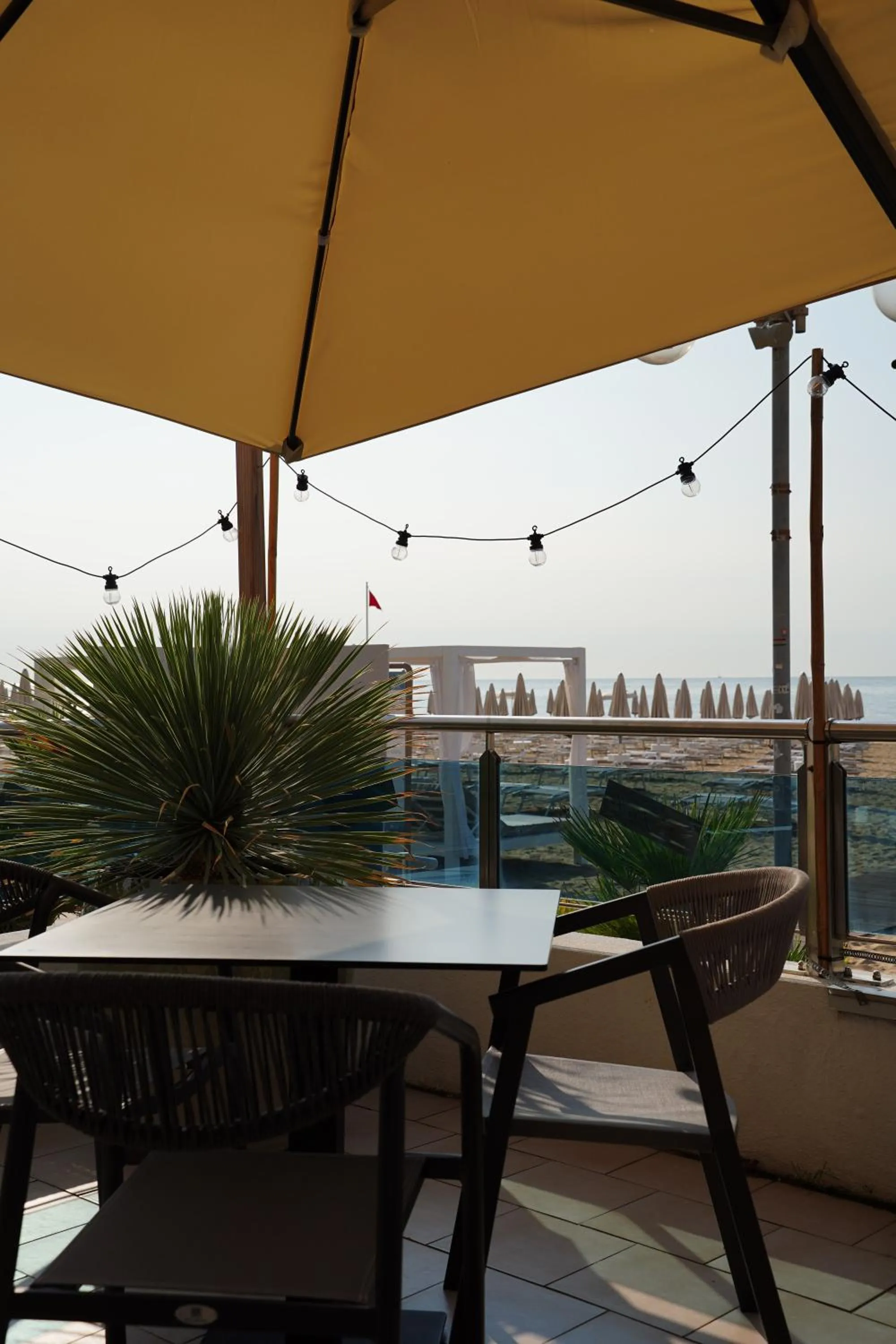 Restaurant/places to eat in Hotel Delaville Frontemare