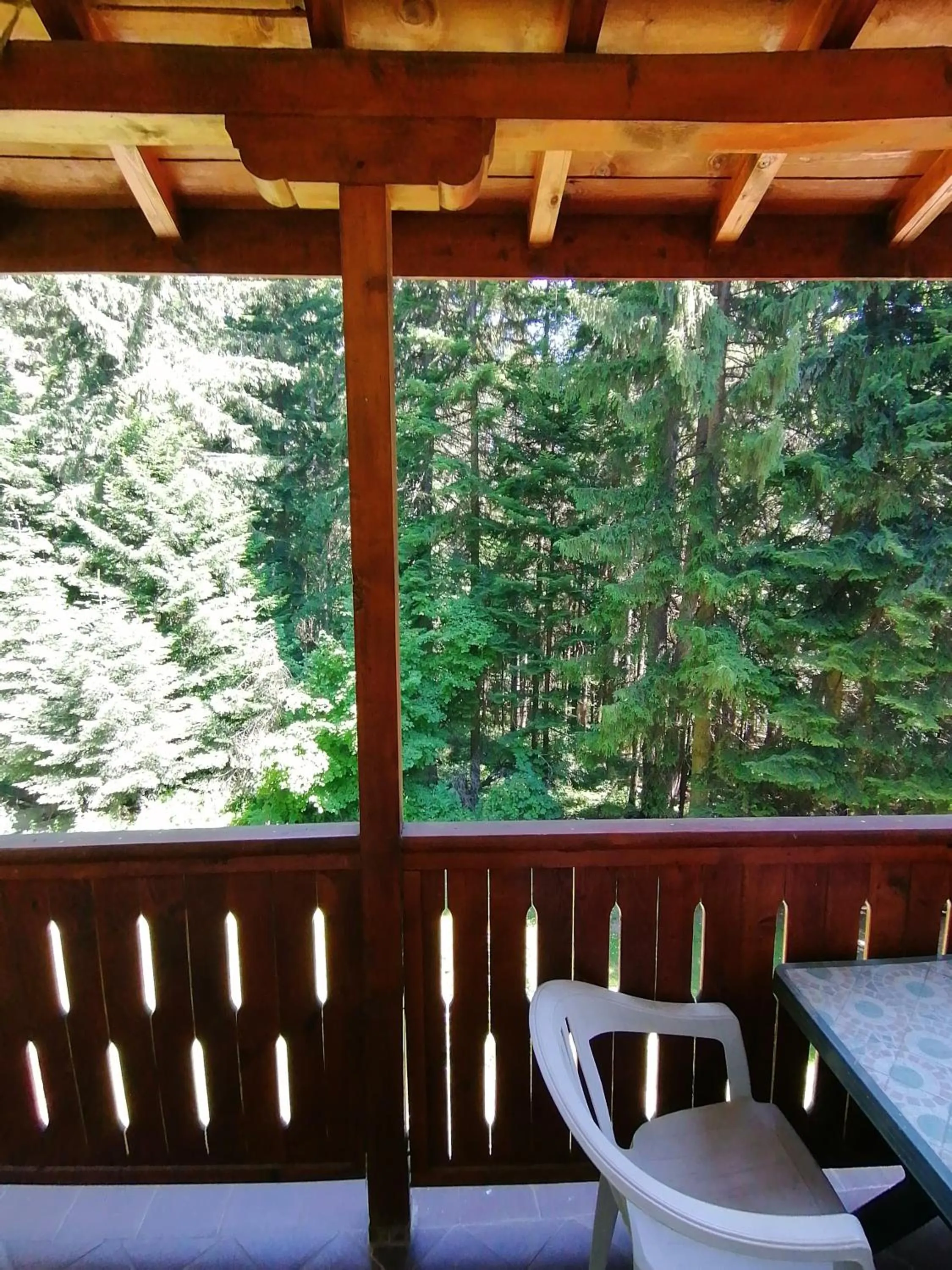 Natural landscape in Ski Hotel Katerina