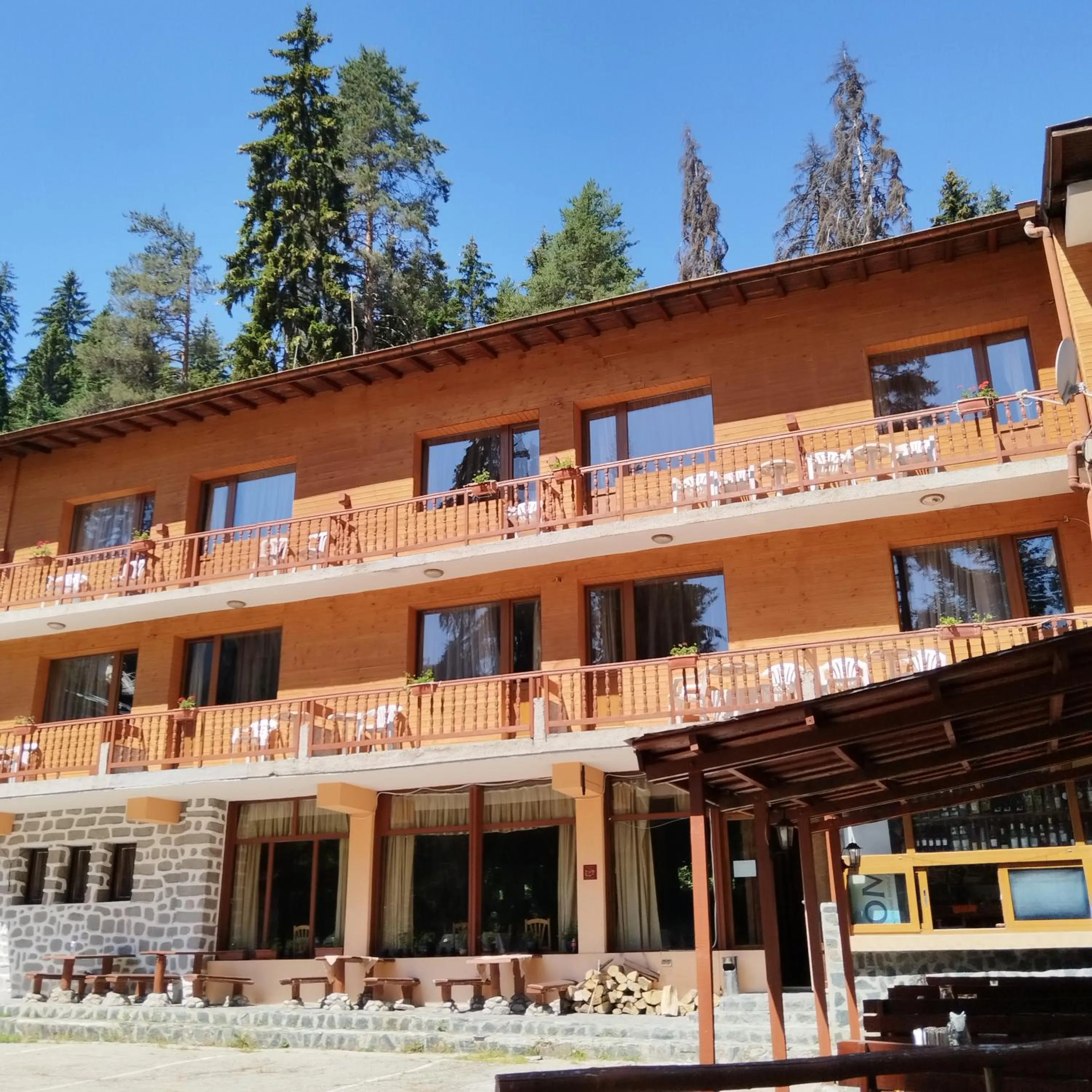 Property building in Ski Hotel Katerina