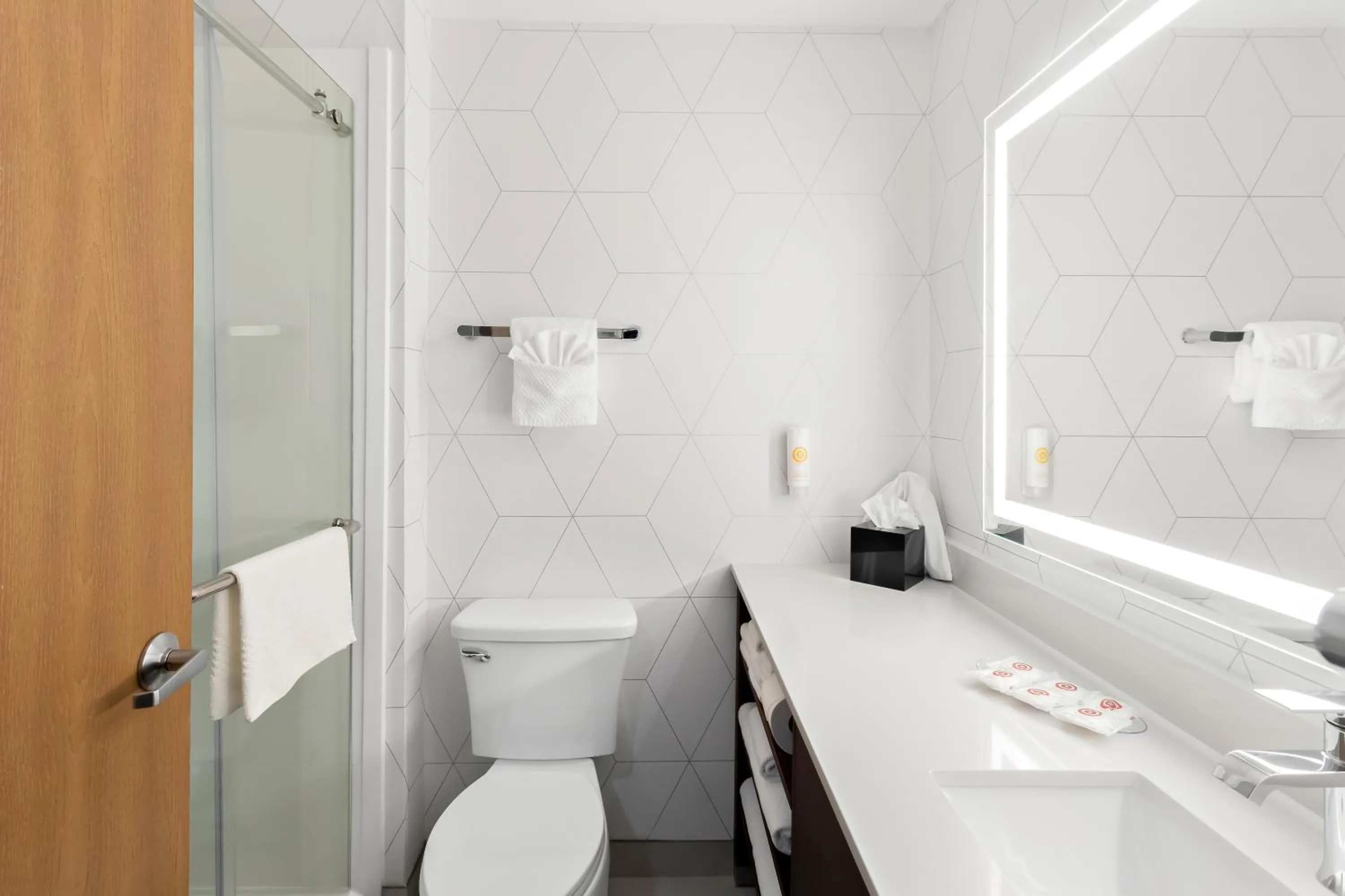 Bathroom in Comfort Suites Portland Airport