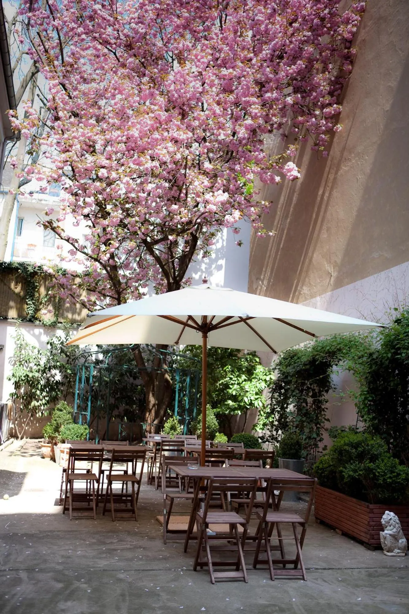 Patio in Hotel Aurora