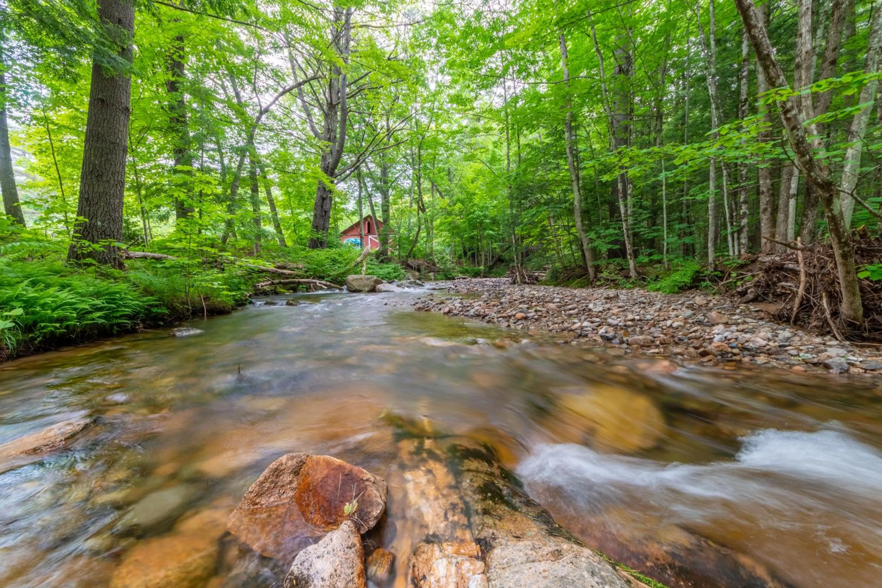 River view in Cranmore Mountain Lodge Bed & Breakfast