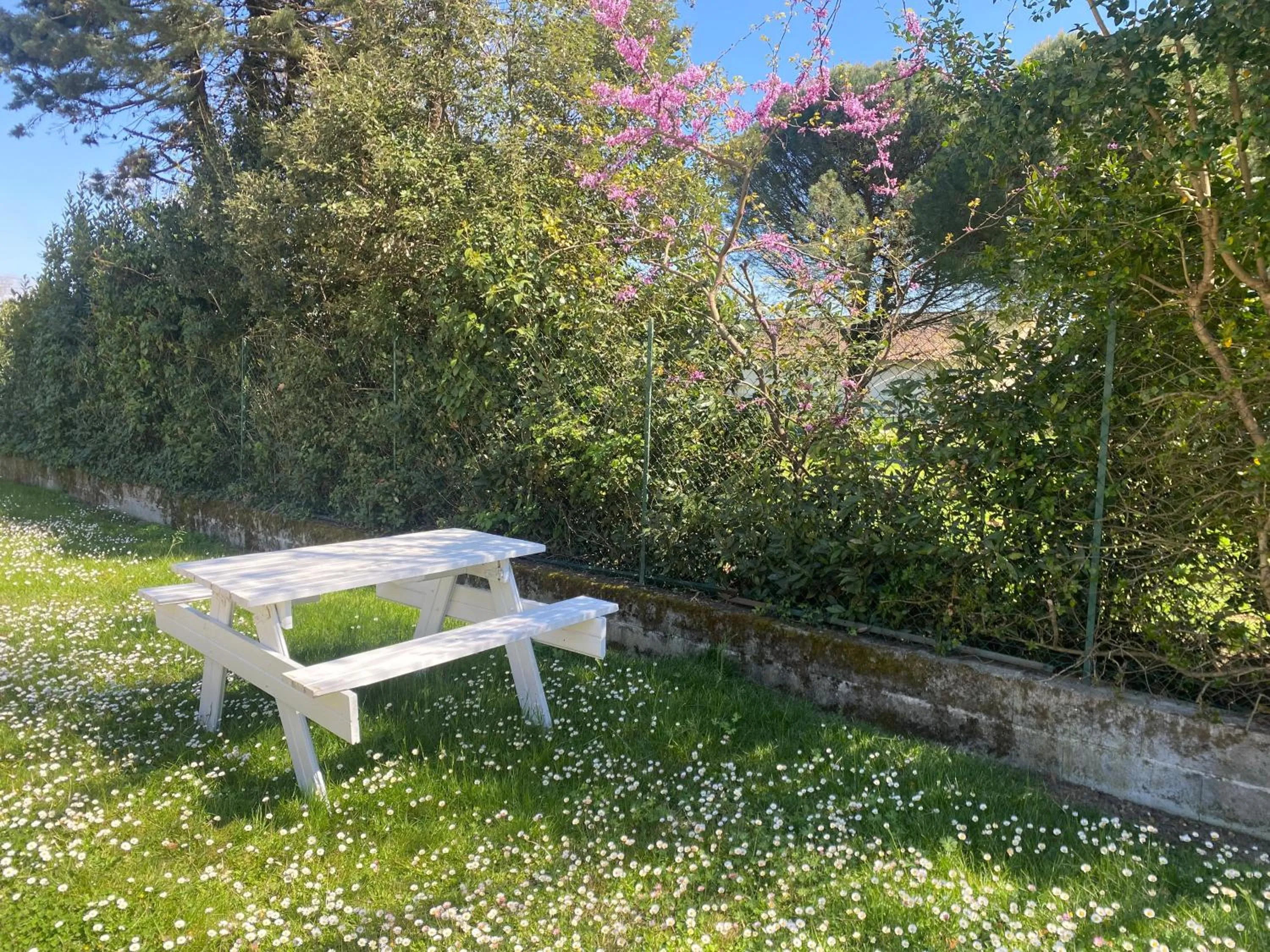 Garden in Auberge de Lamagistere