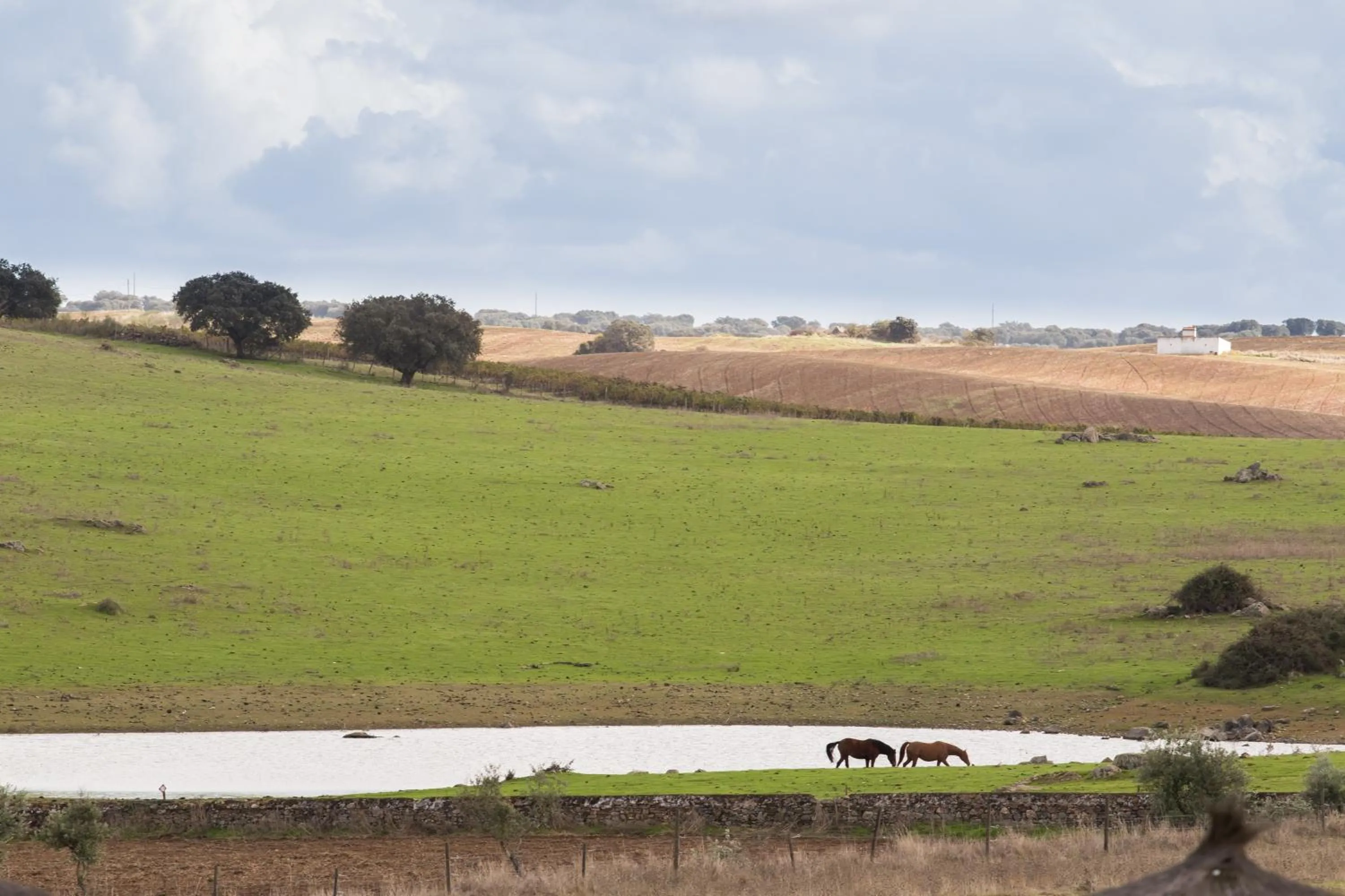 View (from property/room) in Hotel Rural Santo Antonio
