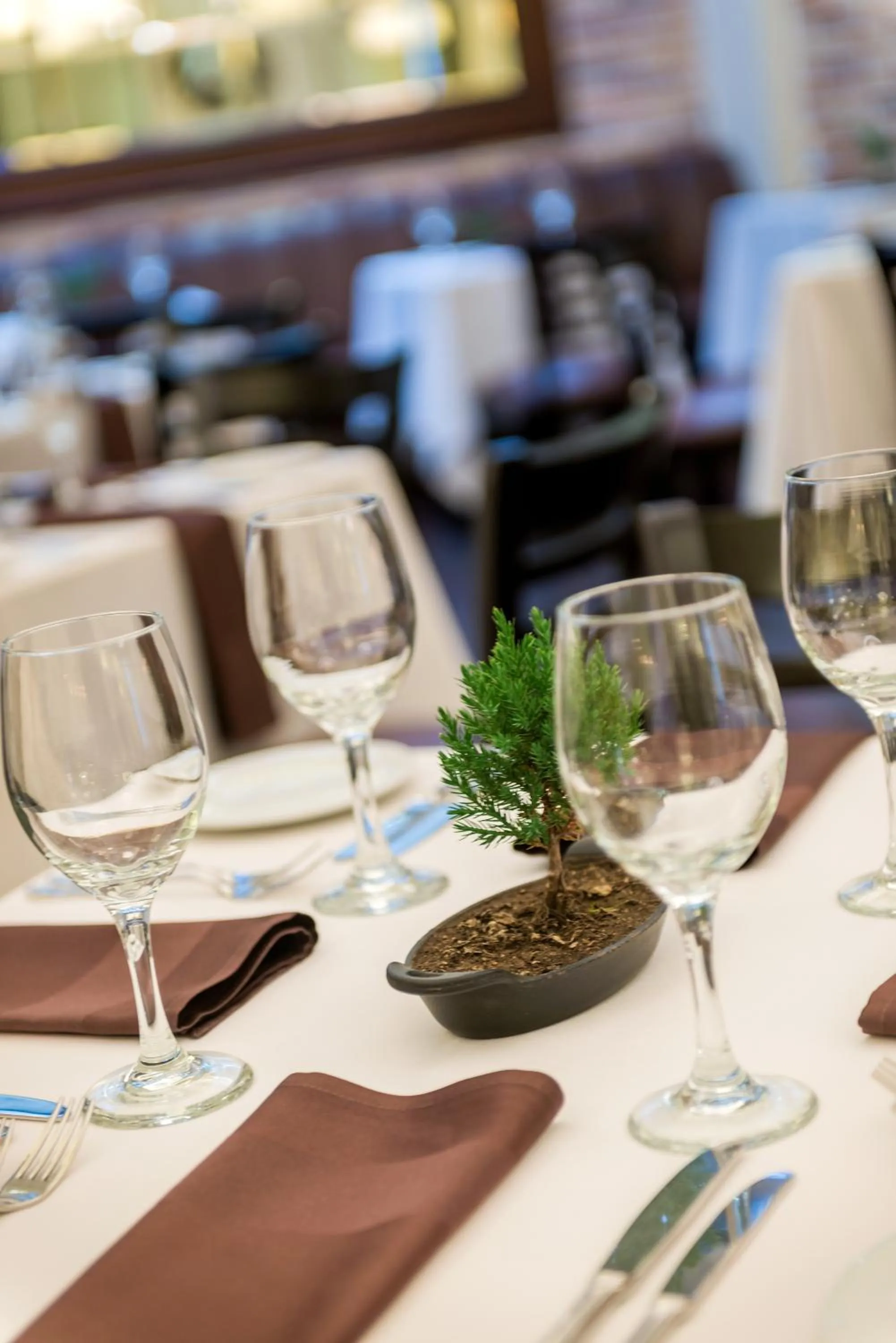 Lunch in Dann Carlton Quito