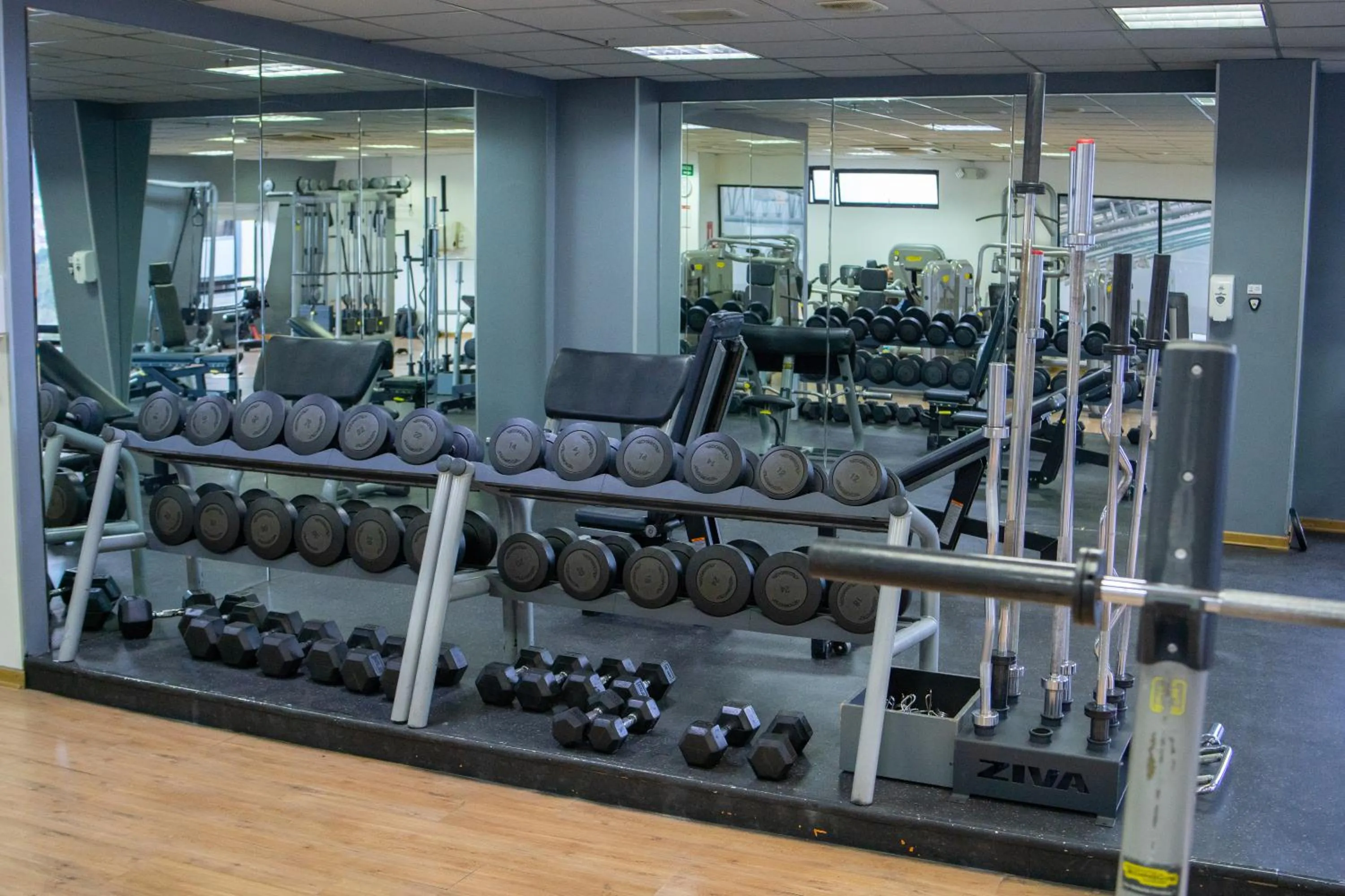 Fitness centre/facilities in Dann Carlton Quito