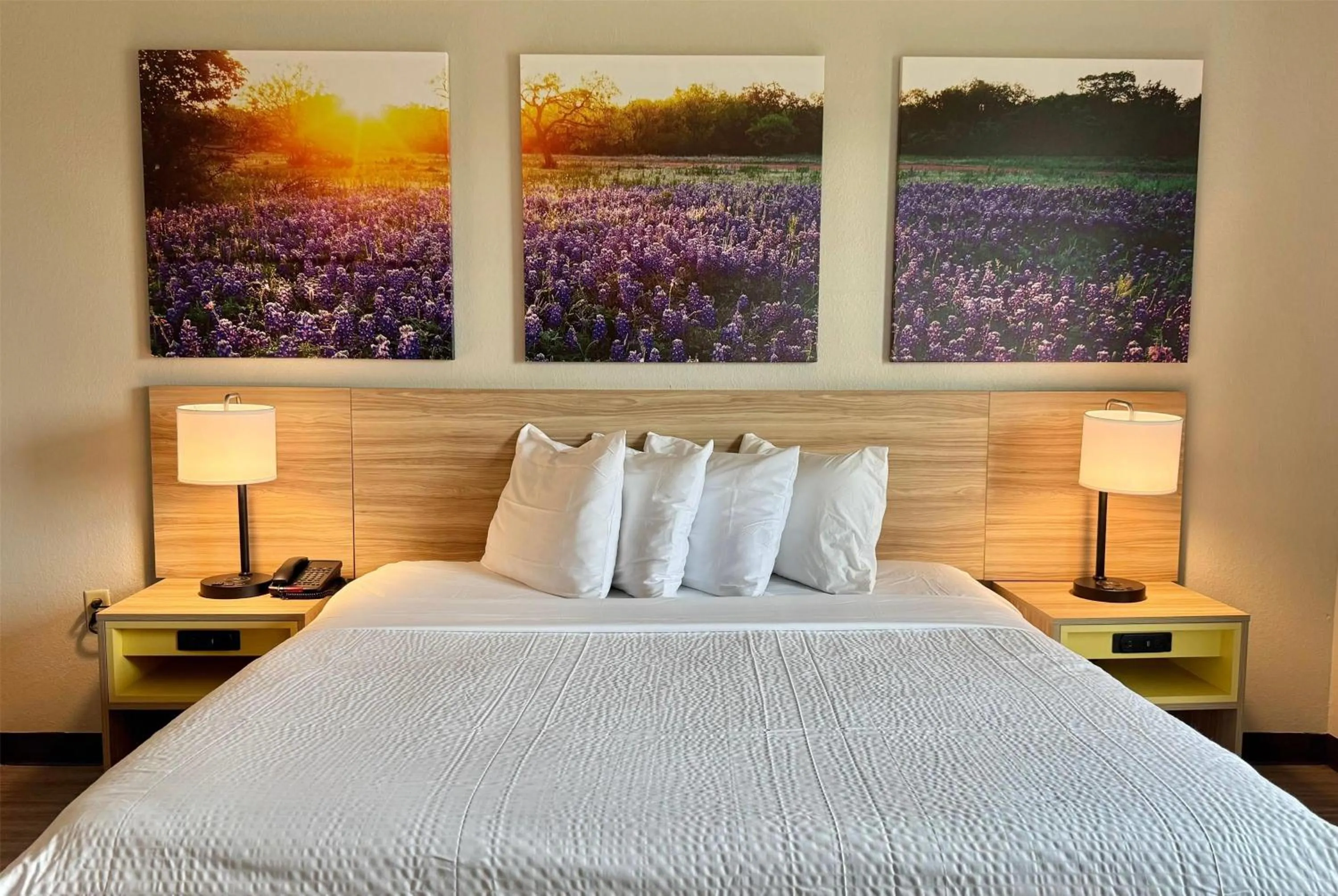 Photo of the whole room, Bed in Days Inn & Suites by Wyndham Houston / West Energy Corridor