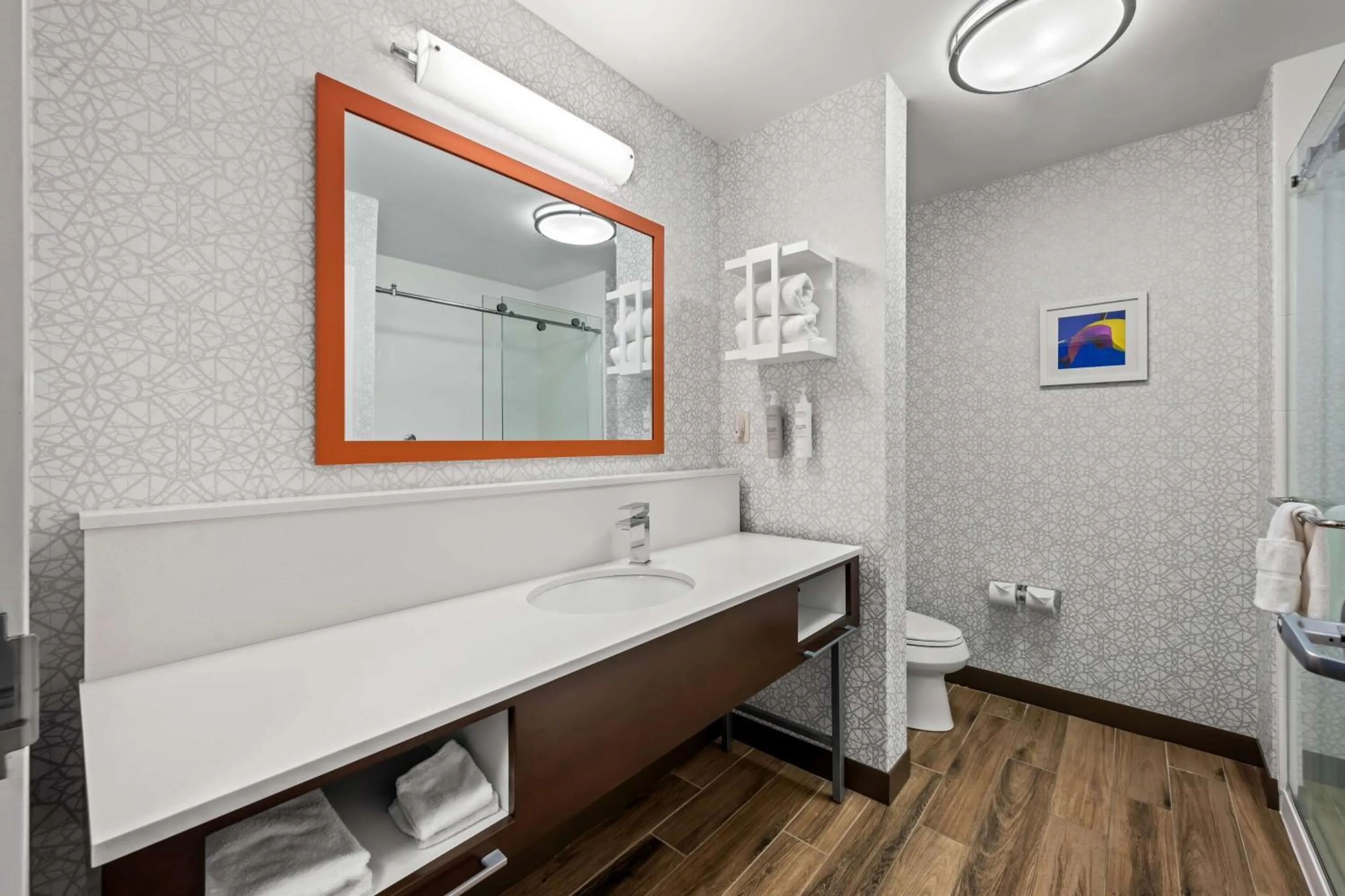 Bathroom in Hampton Inn Greenville