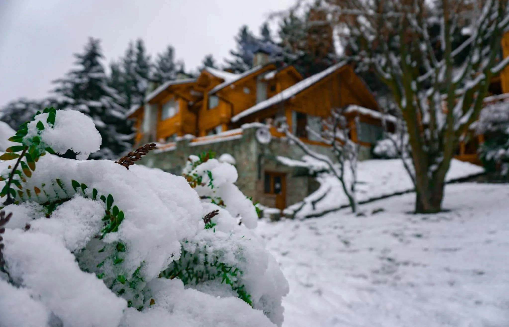 Cabañas Puerto Pireo
