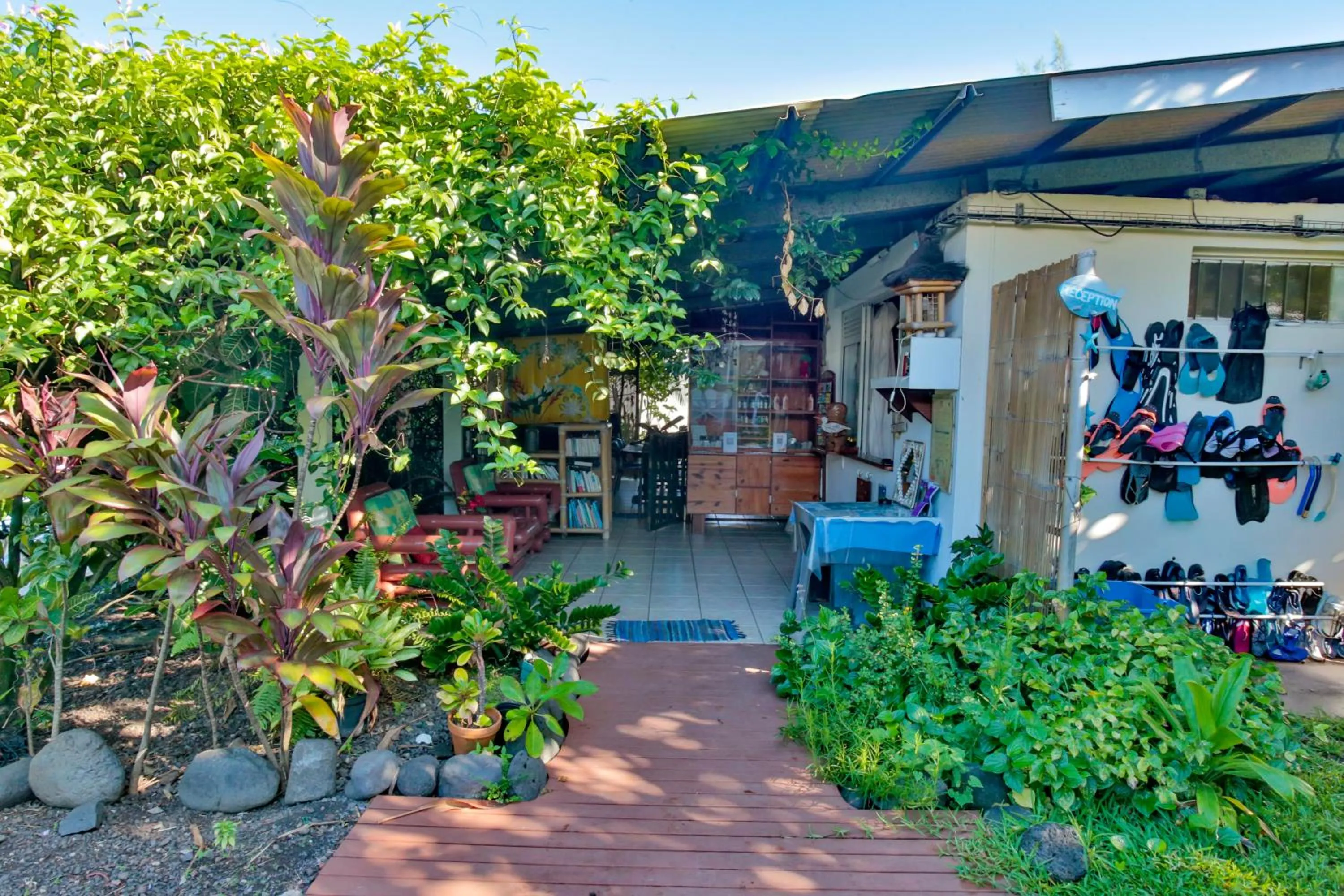 Library in Pension De La Plage
