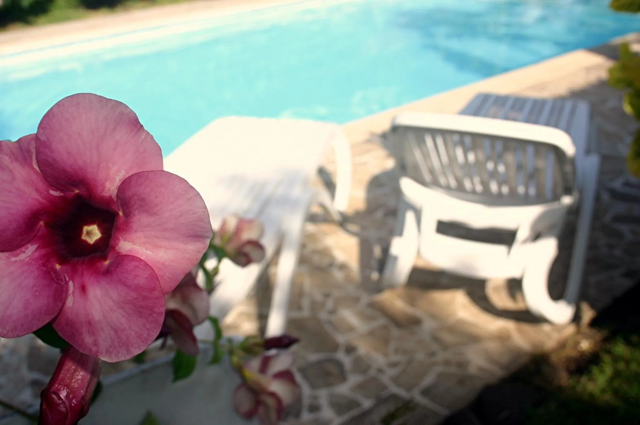 Pool view in Pension De La Plage