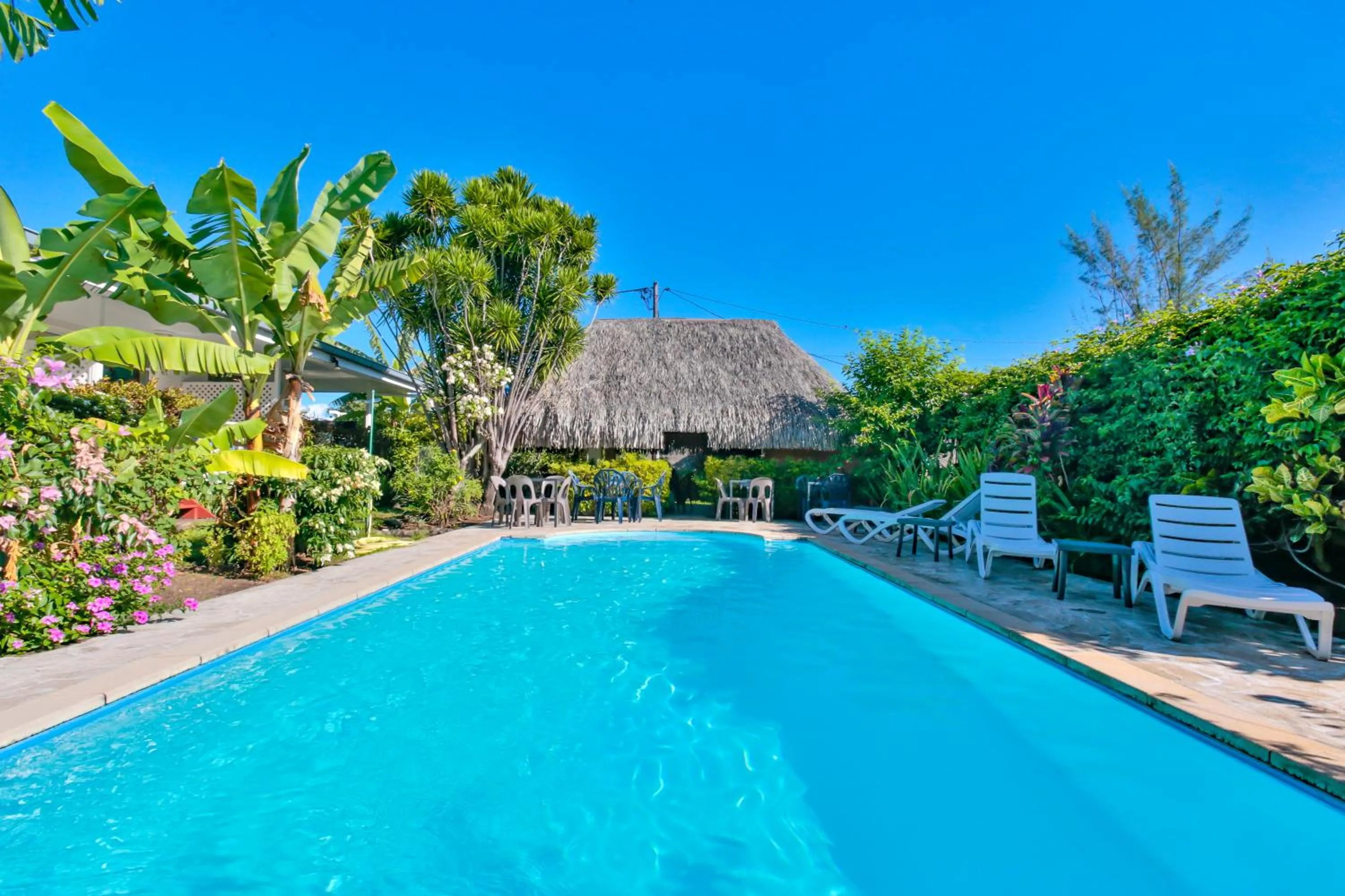 Pool view in Pension De La Plage