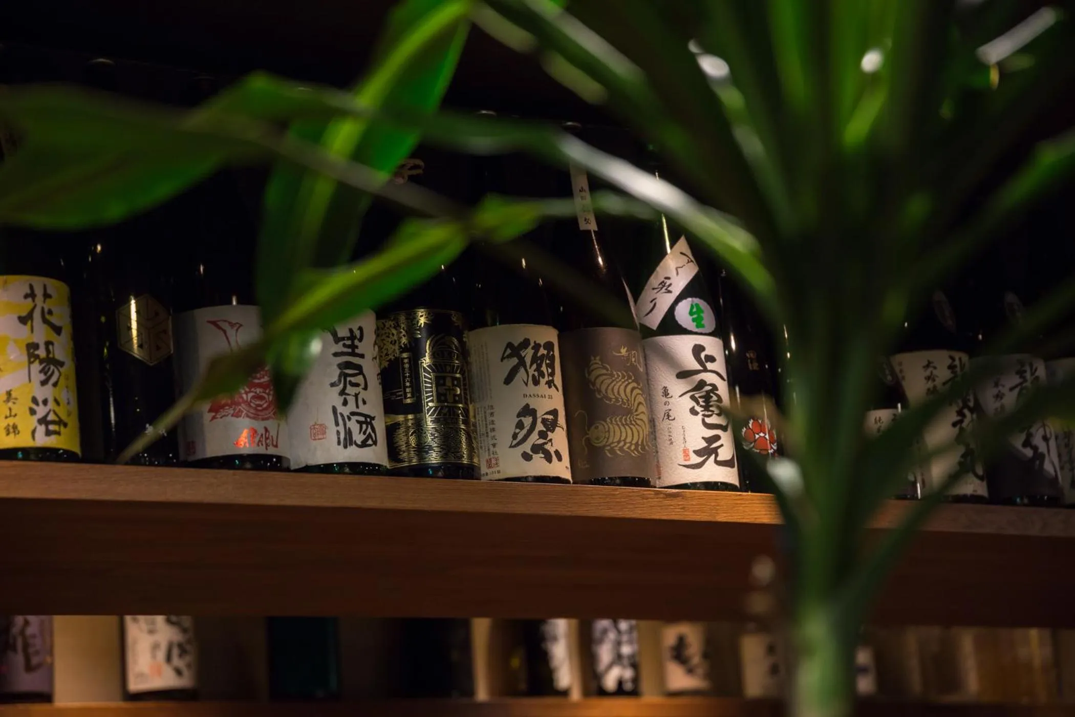 Restaurant/places to eat in Hotel Sunrise Inn