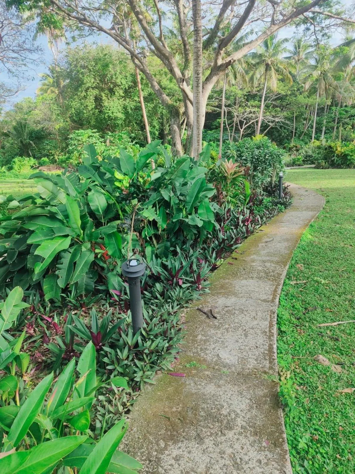 Garden in Wellesley Resort Fiji