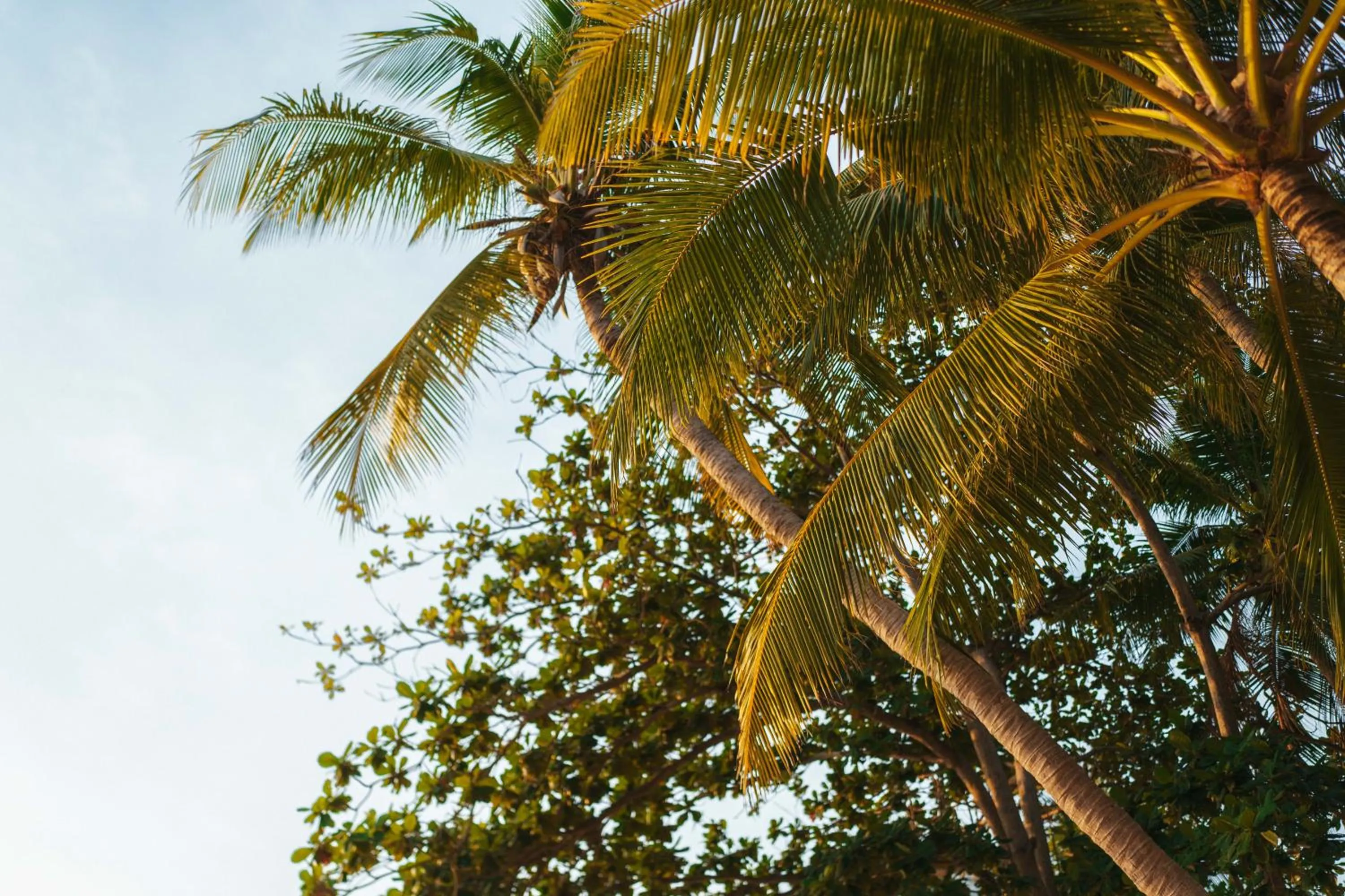 Natural landscape in Pinnacle Koh Tao Resort