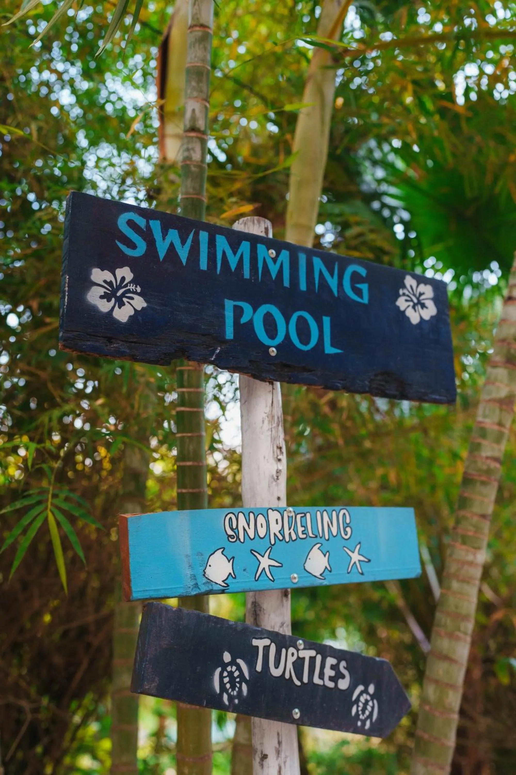 Swimming pool in Pinnacle Koh Tao Resort