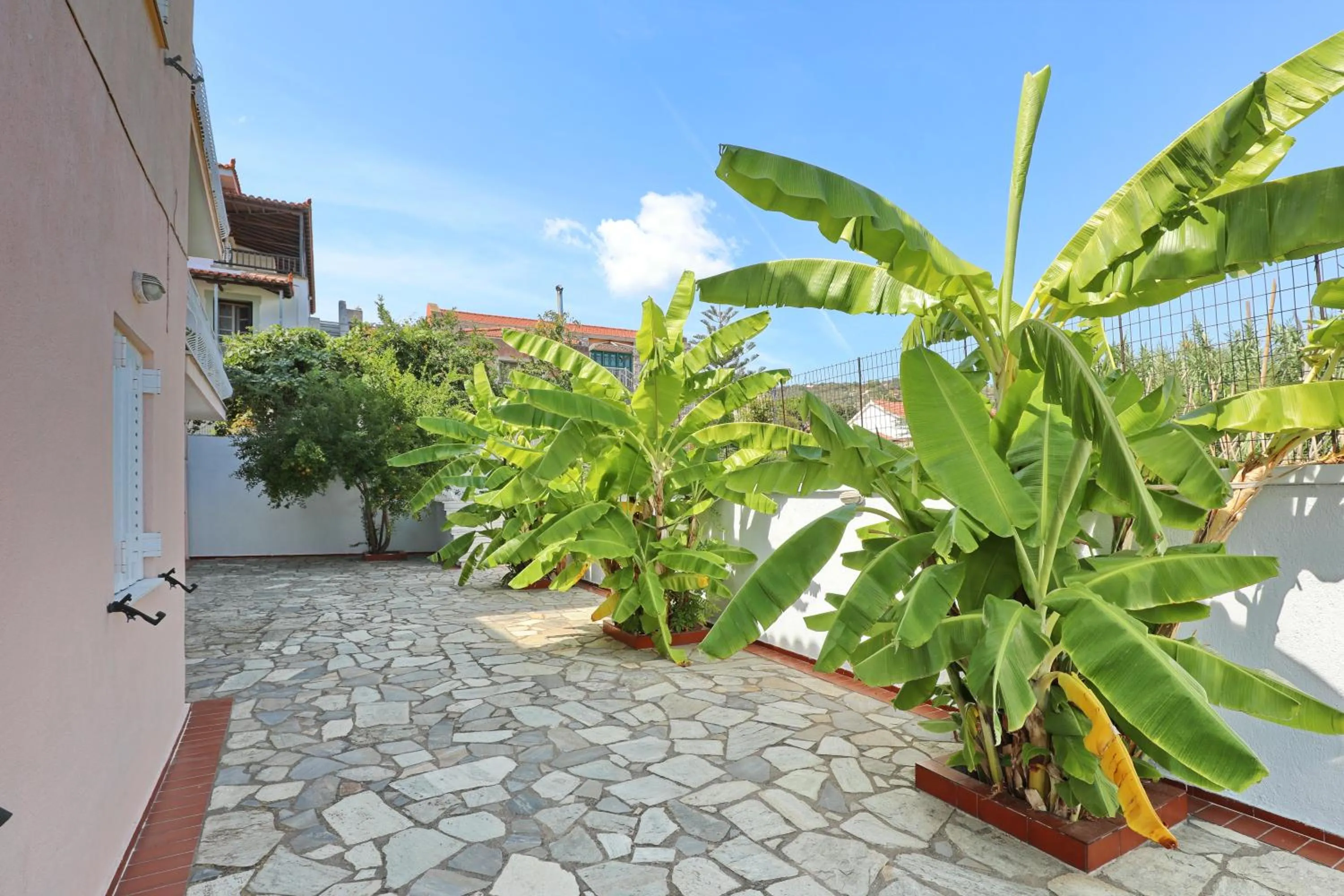 Garden in Dolphin Hotel