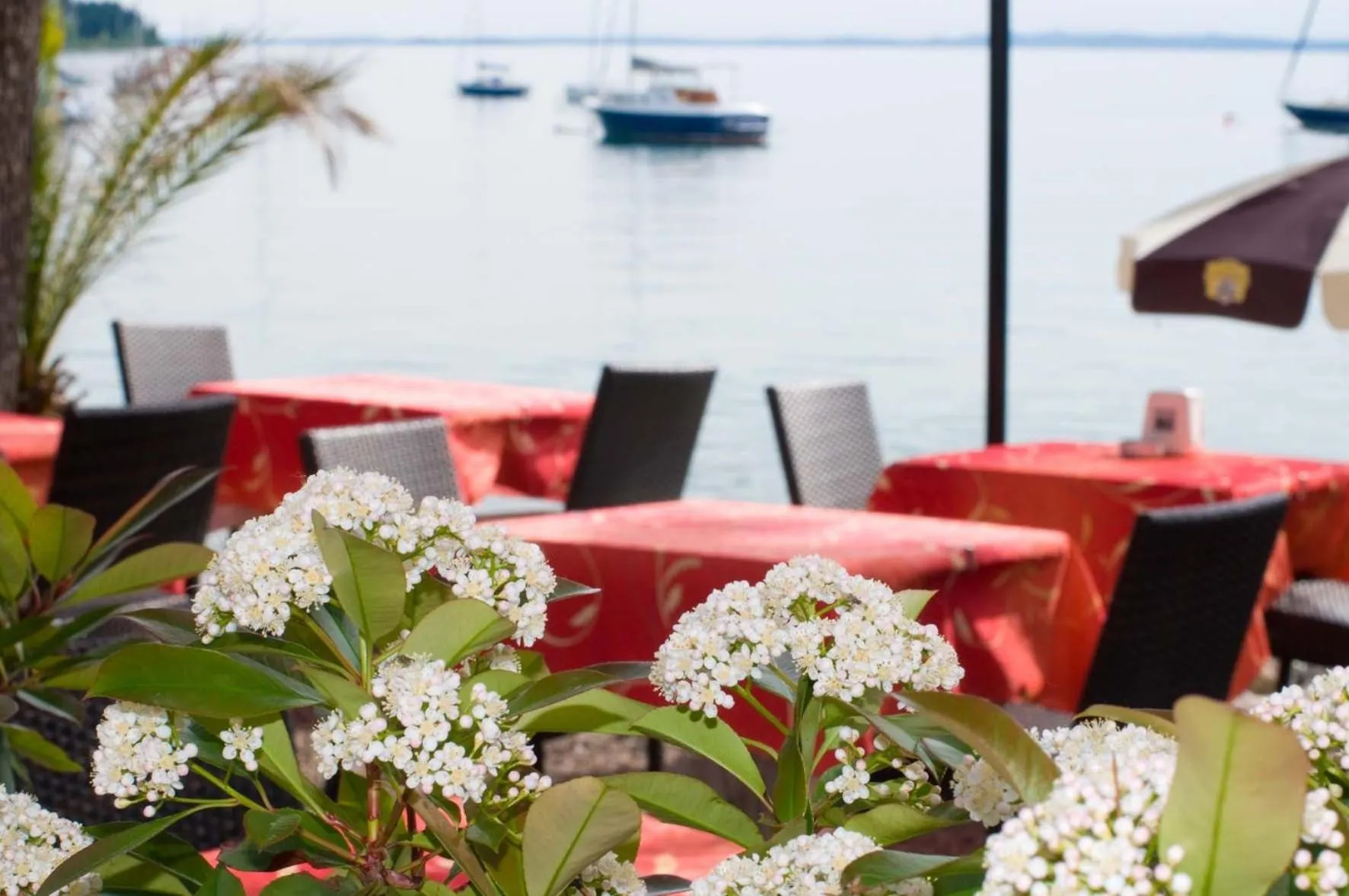 Facade/entrance in Hotel Lido