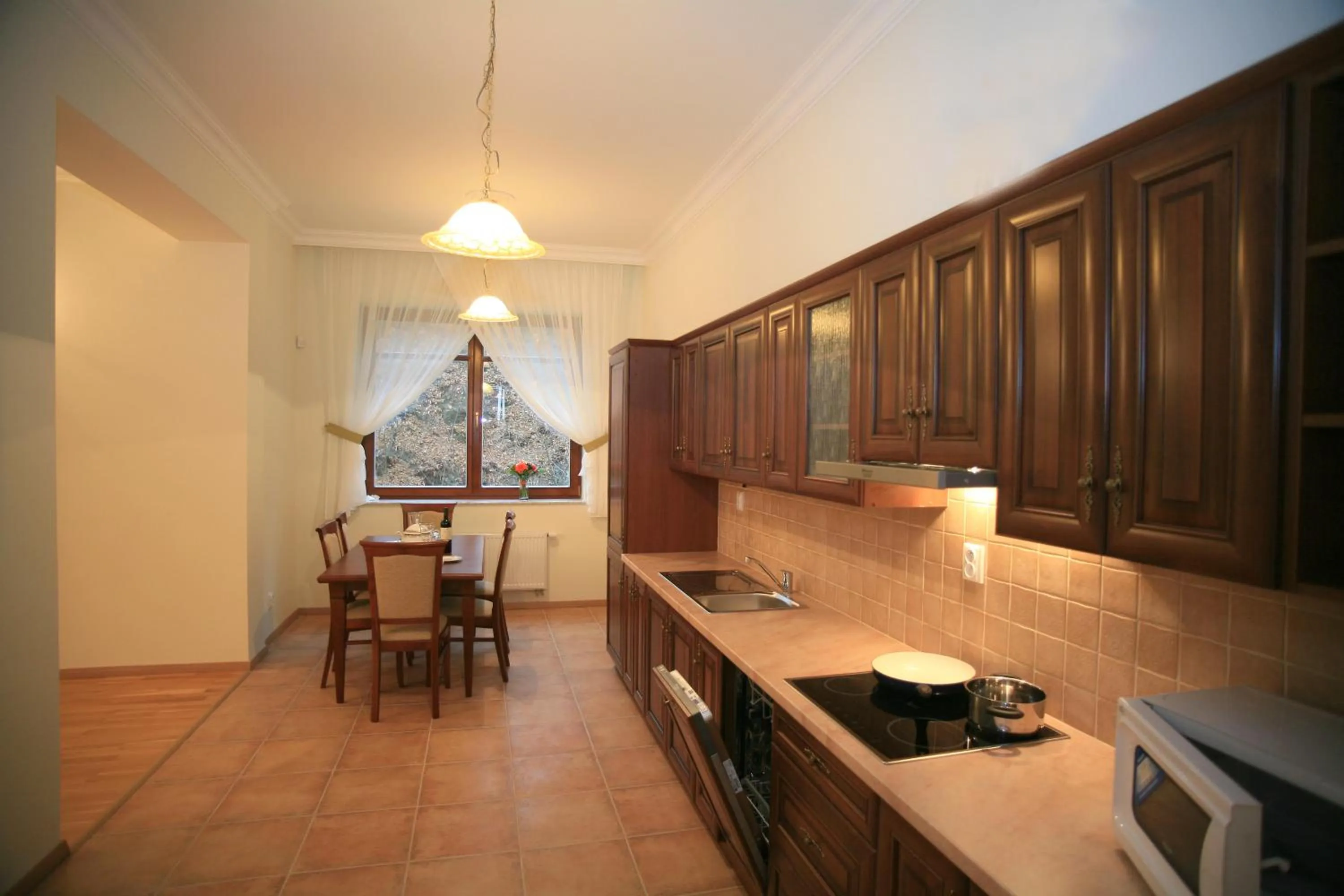 Kitchen or kitchenette in Slunecni Lazne Apartments