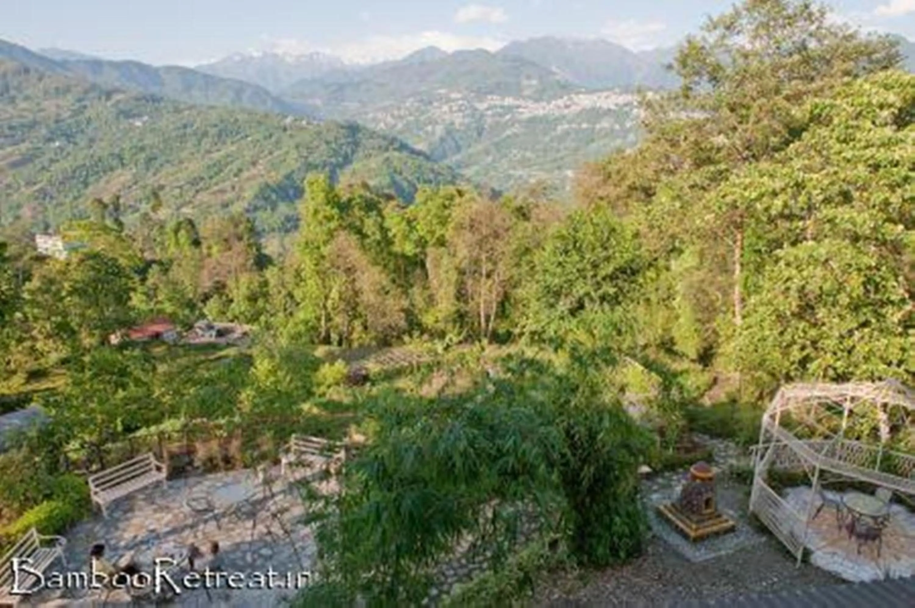 Day in Bamboo Retreat