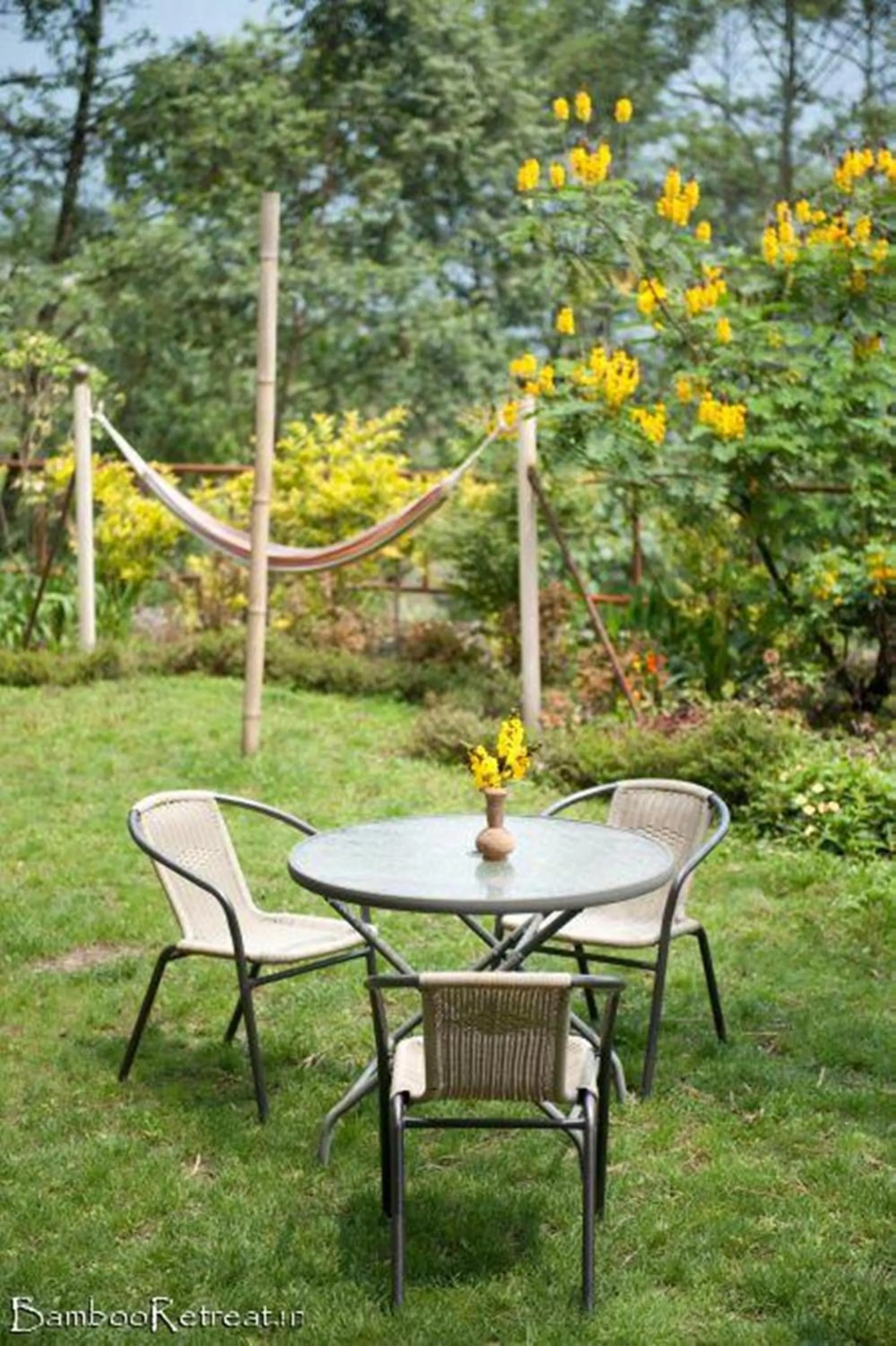 Day in Bamboo Retreat