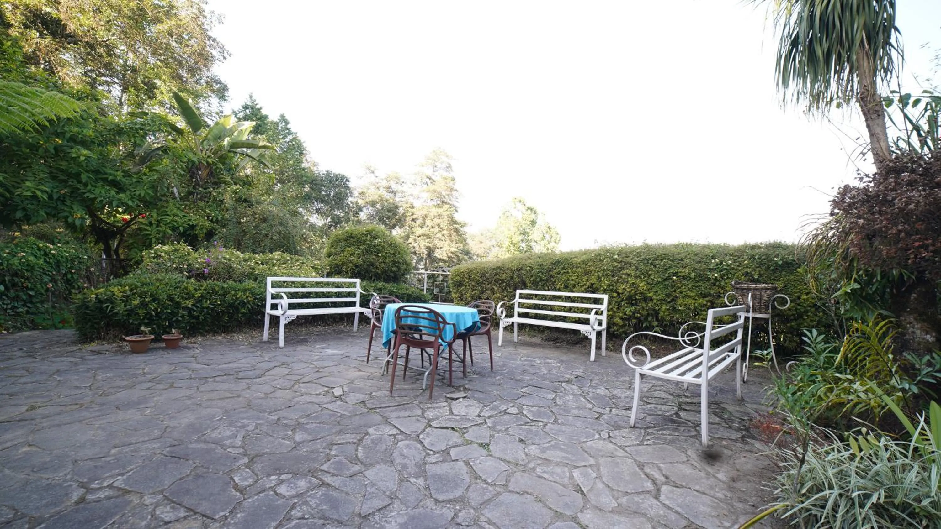 Other in Bamboo Retreat