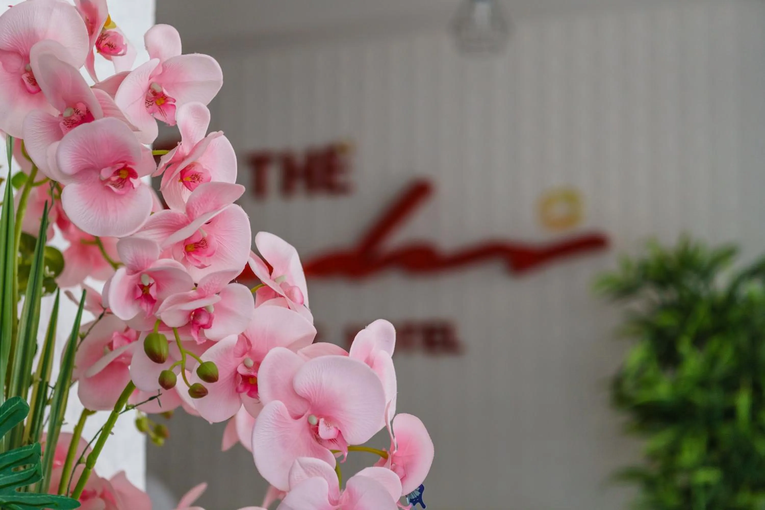 Photo of the whole room in The Shades Hotel 50 meter Beach Front