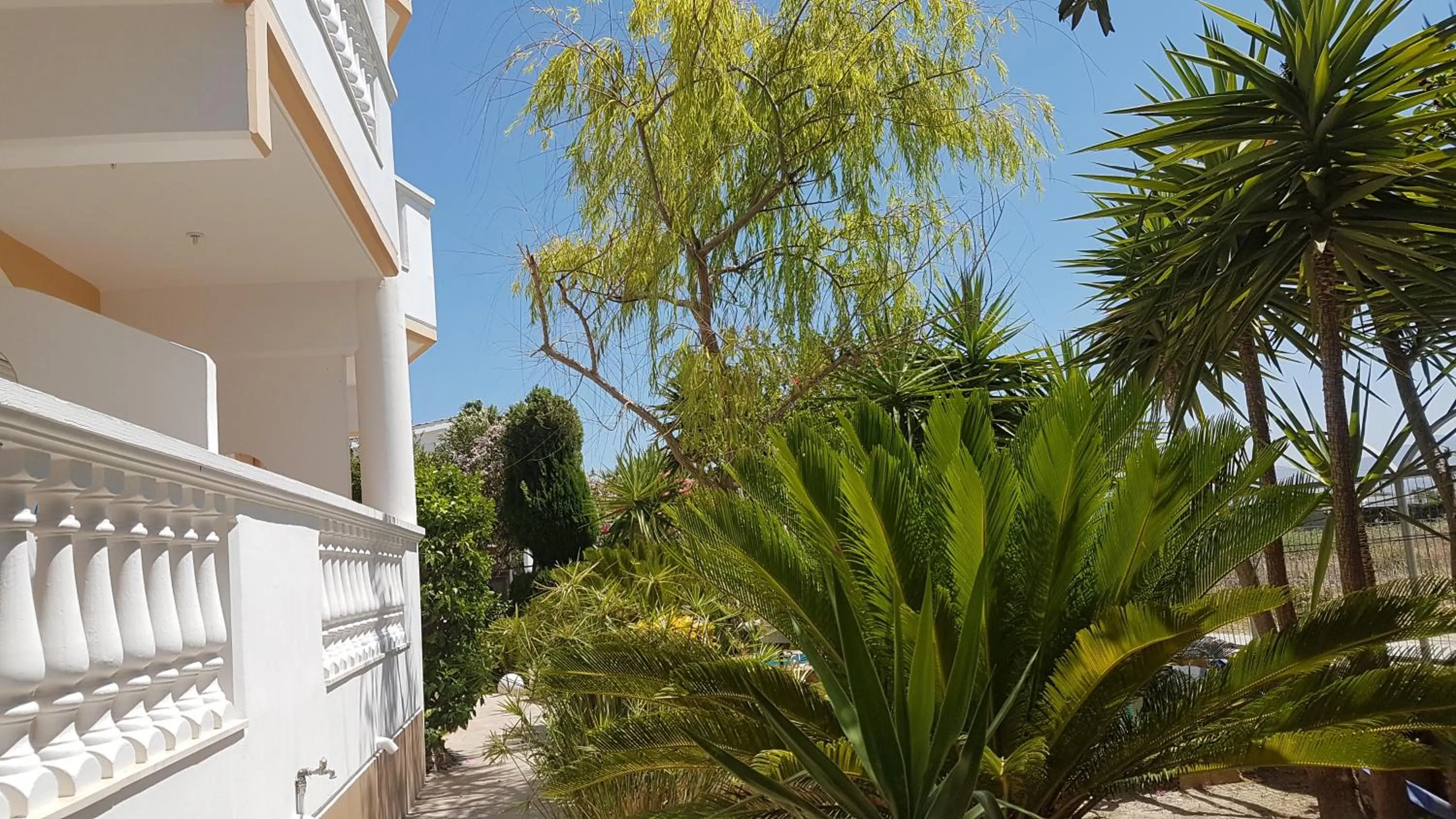 Spring in Paul's Garden Studios