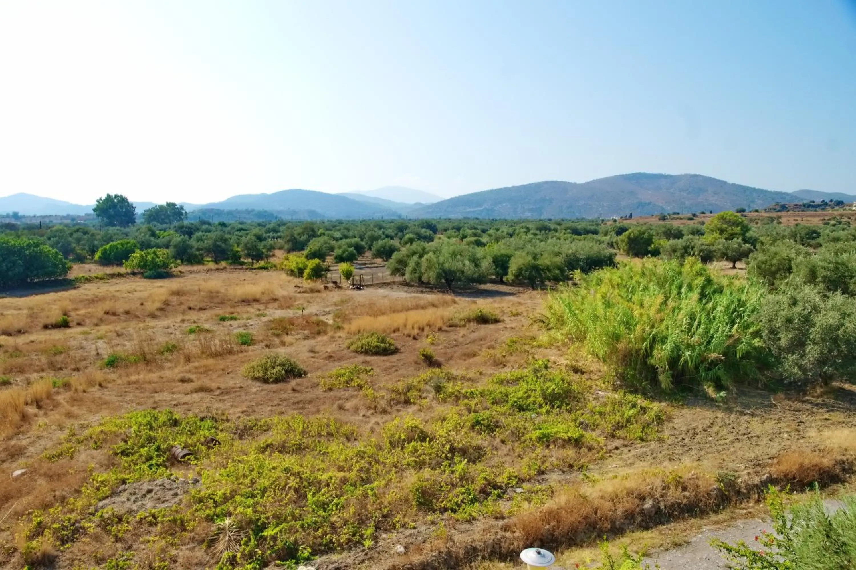 Area and facilities in Paul's Garden Studios