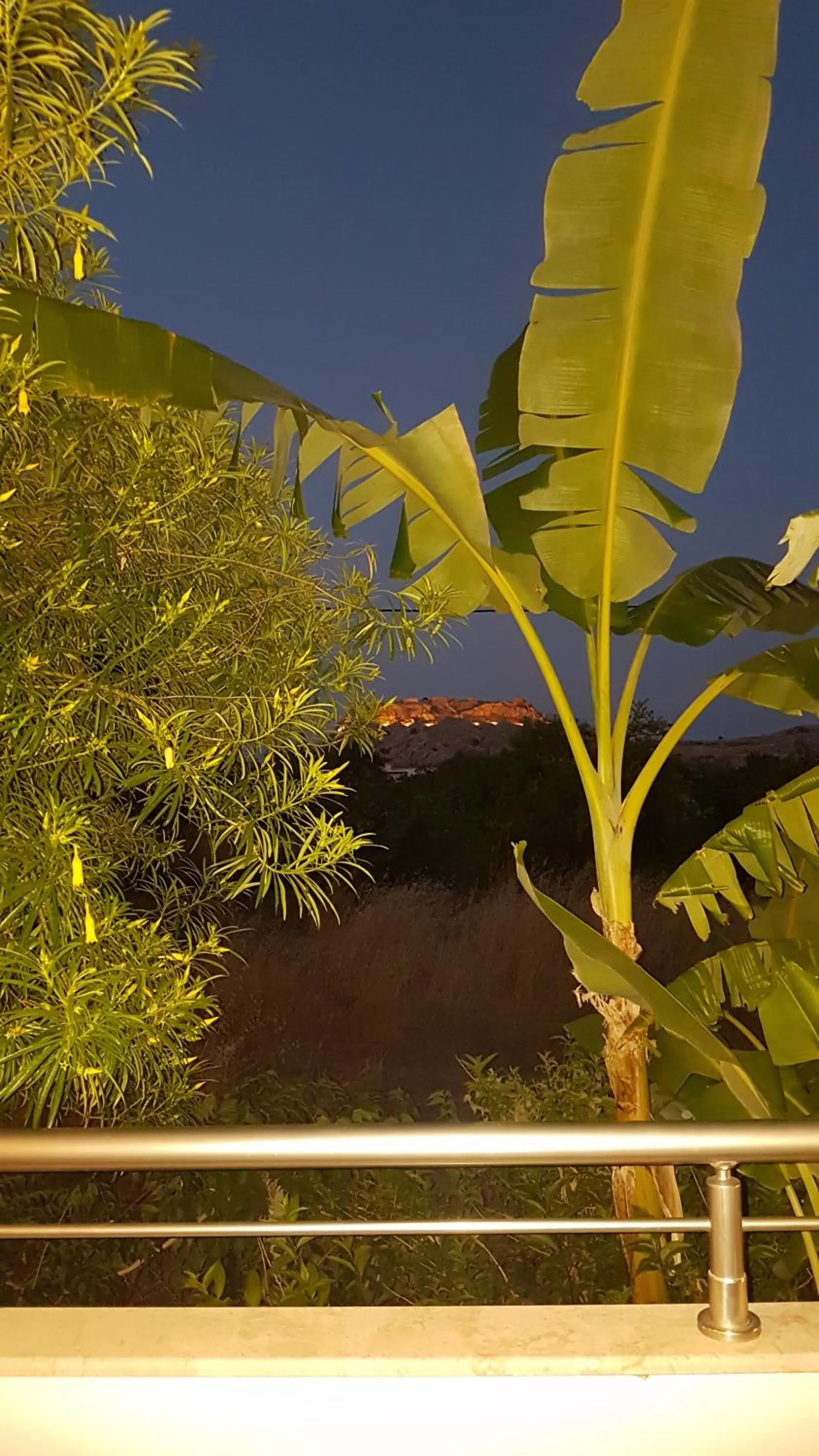 Night in Paul's Garden Studios