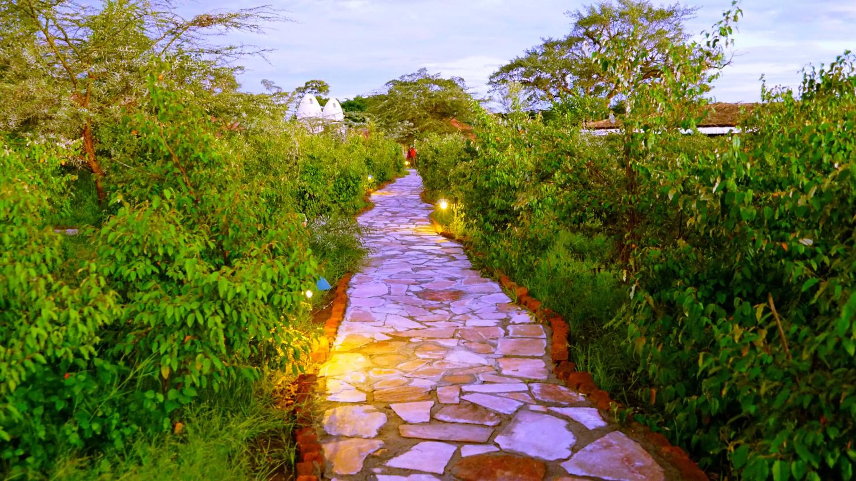 Garden in PrideInn Mara Camp & Cottages