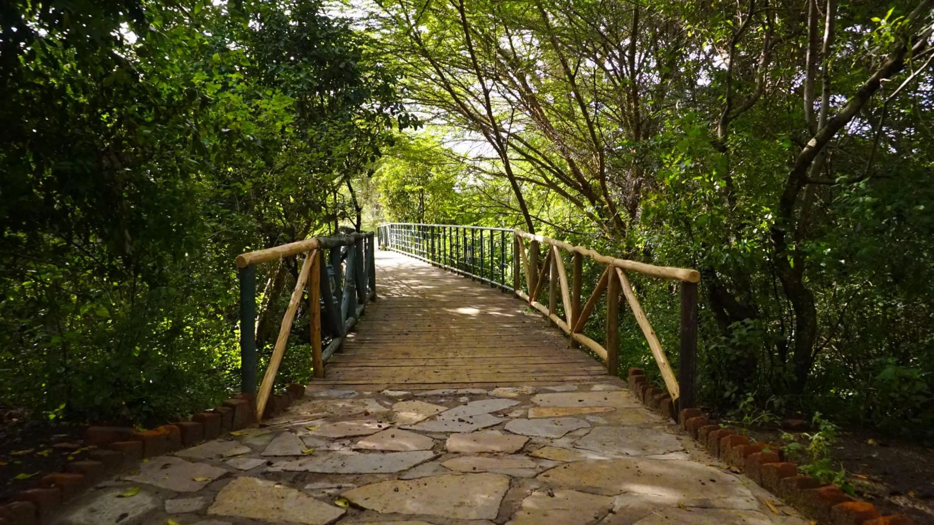 Garden in PrideInn Mara Camp & Cottages