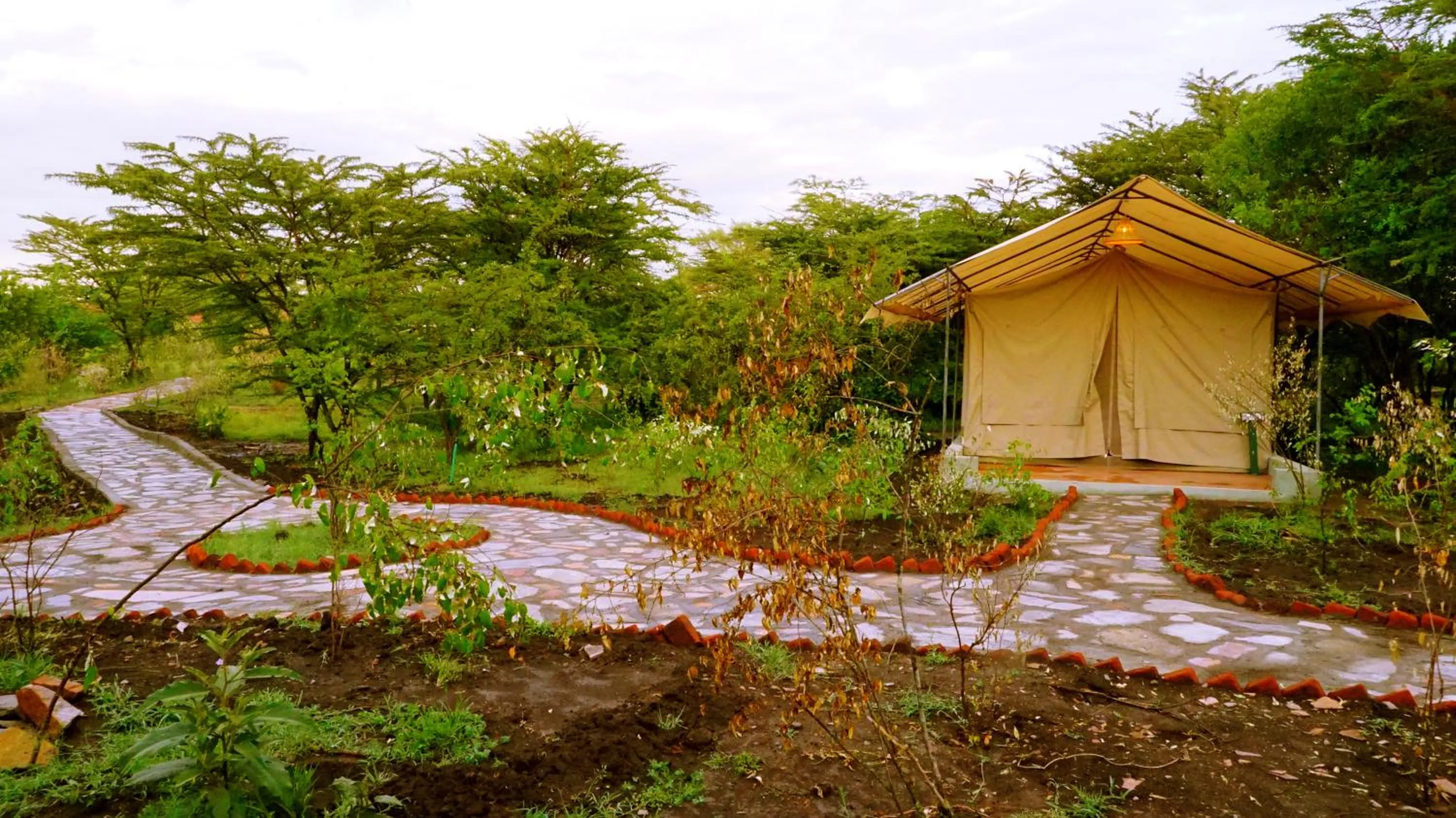Garden in PrideInn Mara Camp & Cottages