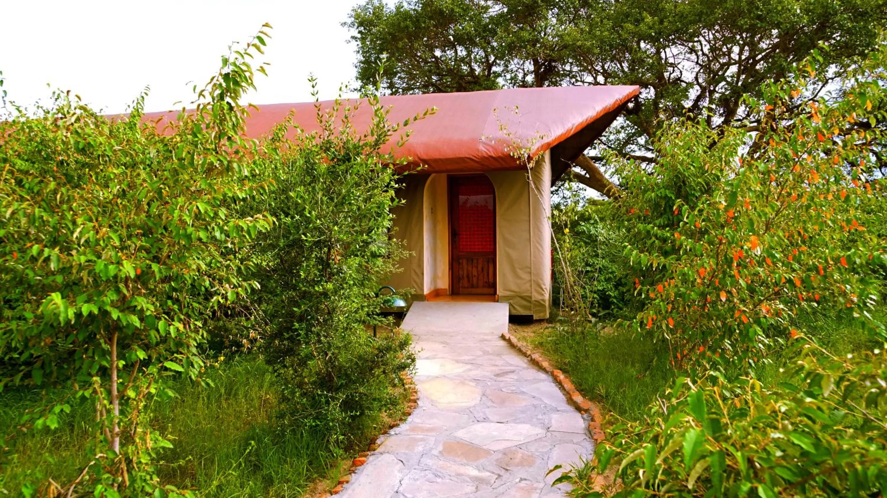 Garden in PrideInn Mara Camp & Cottages