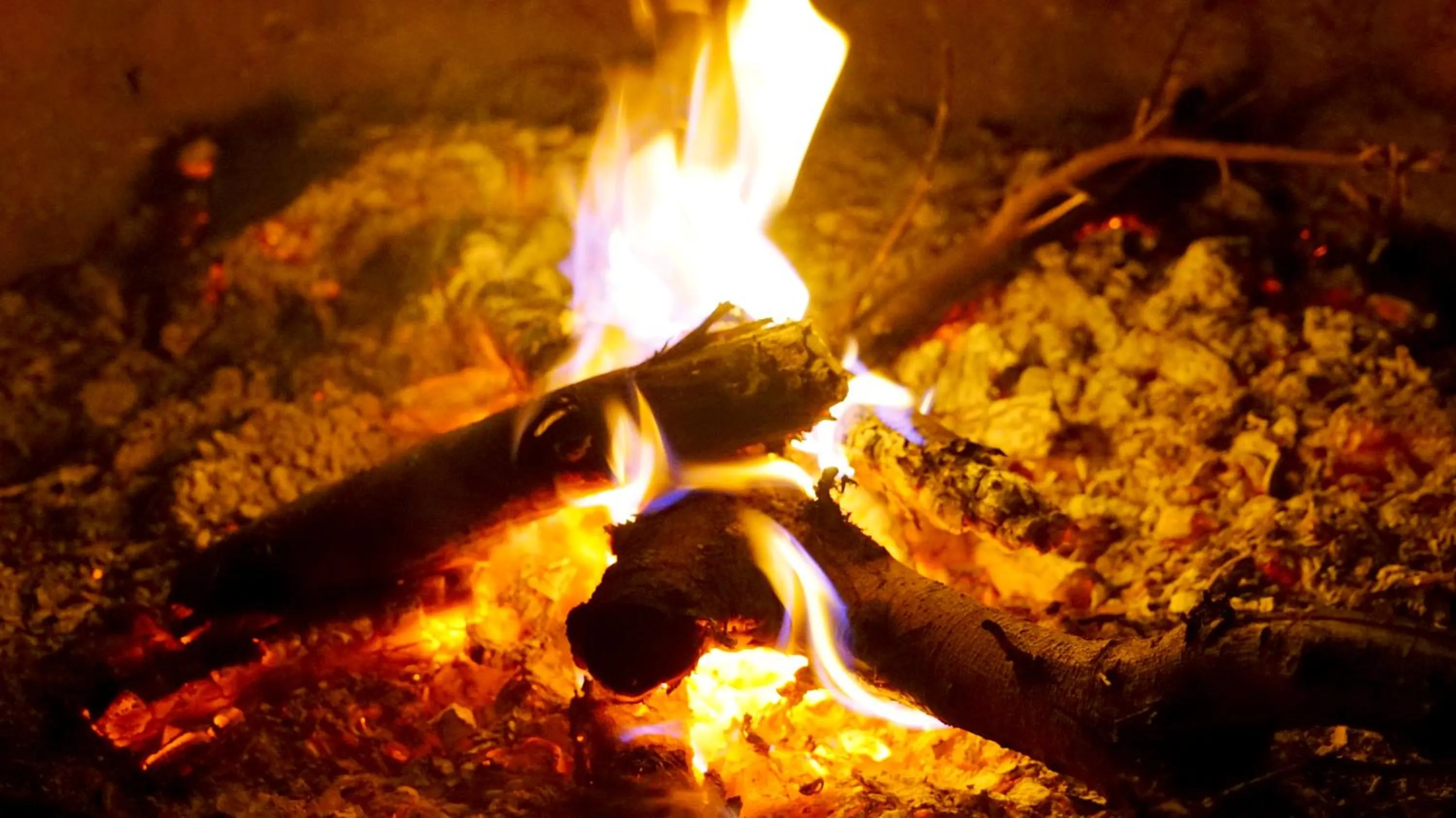 Entertainment in PrideInn Mara Camp & Cottages