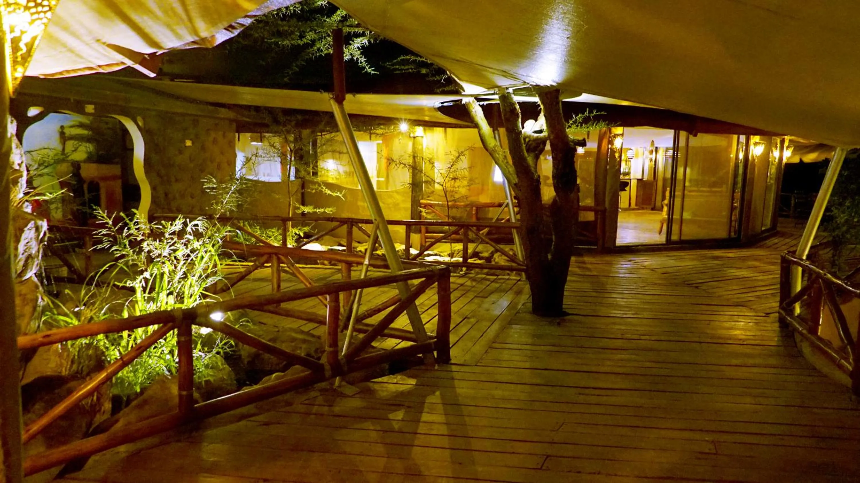 Balcony/Terrace in PrideInn Mara Camp & Cottages