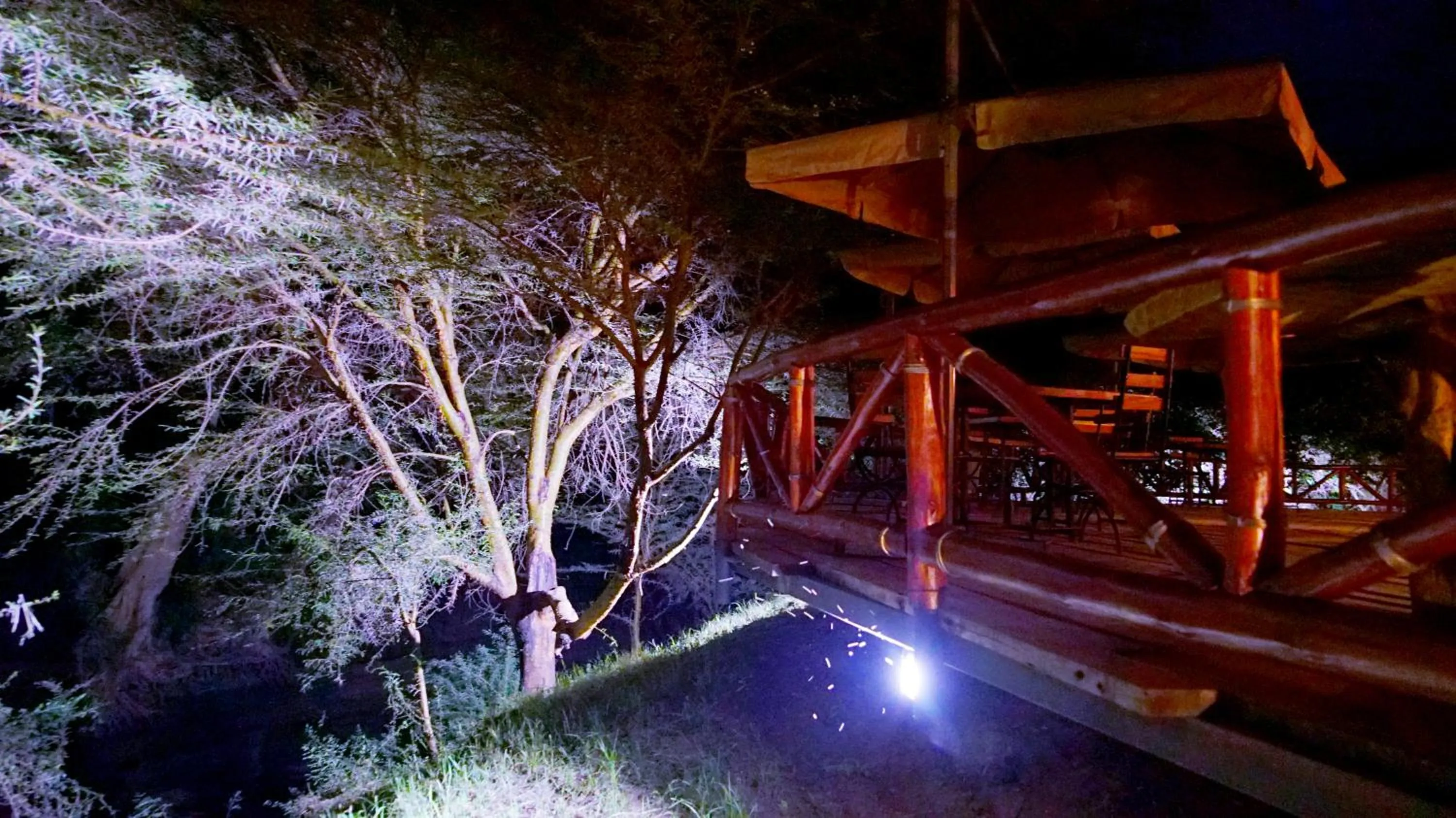 Garden in PrideInn Mara Camp & Cottages