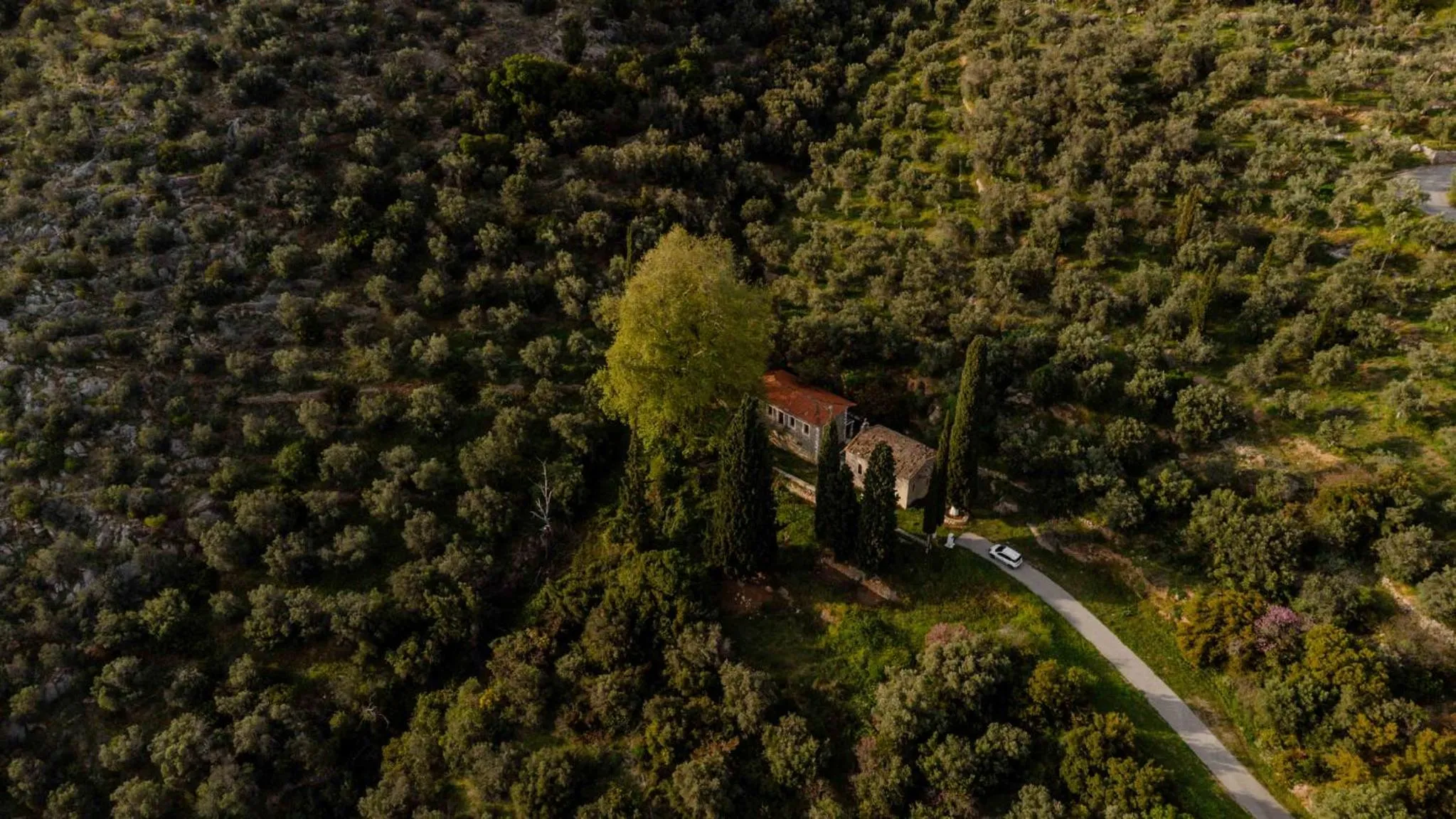 Spring in Hotel Leto Delphi