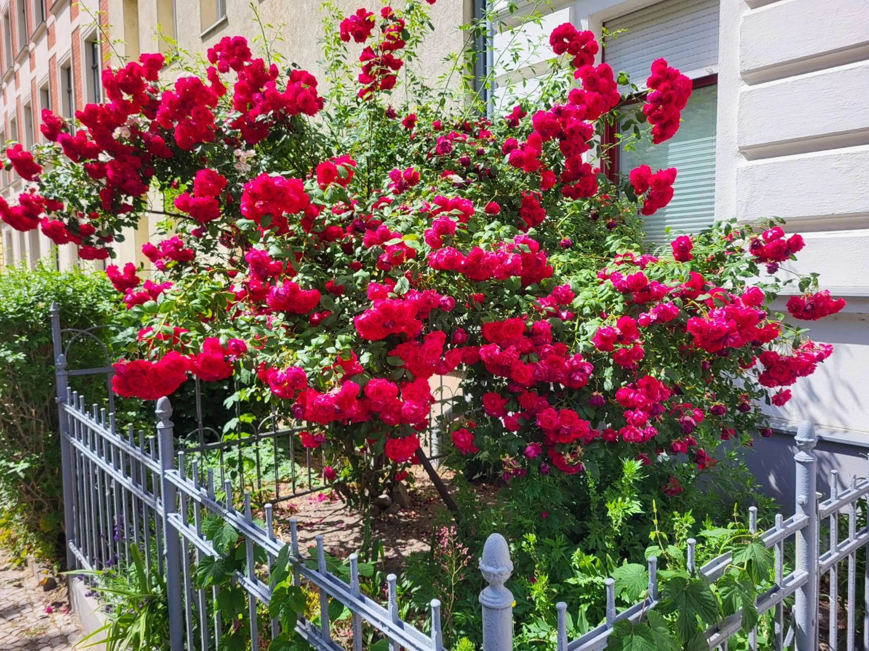 Spring in Ferienwohnung Gründerhaus