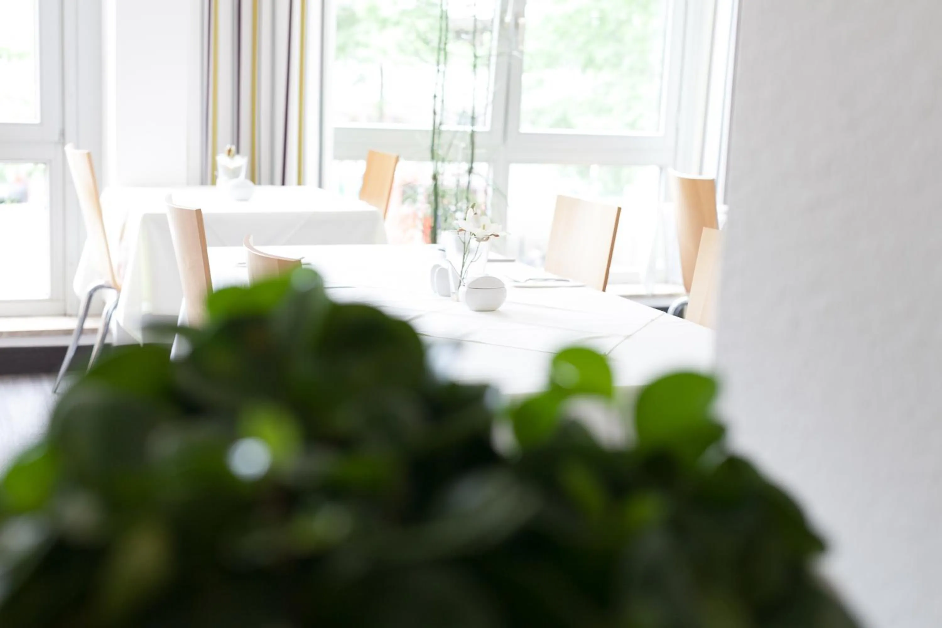 Dining area in Hotel Ambiente